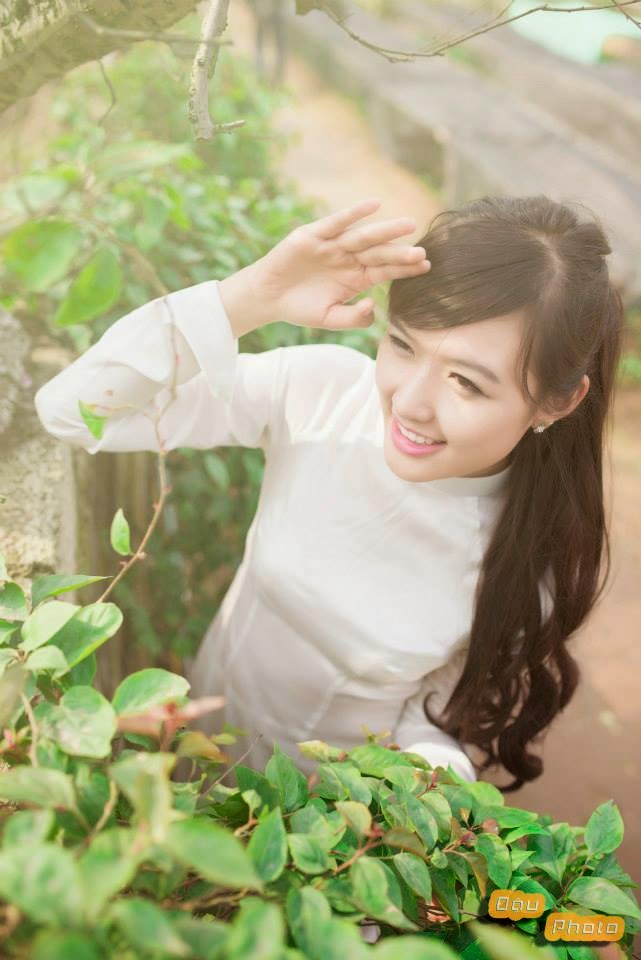 Dang Pham Phuong Chi,