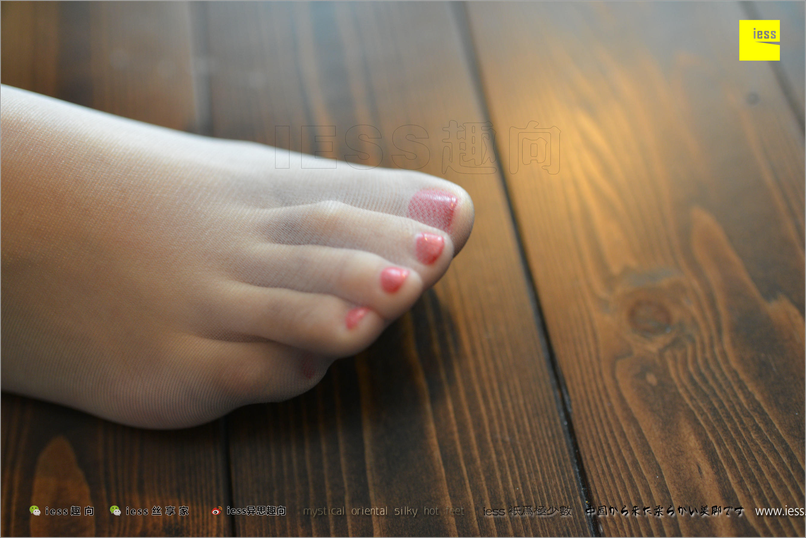 Wife Fangfang The Miss of the Wife of Beautiful Football Different Thoughts to IESS Silk Foot Bento 201