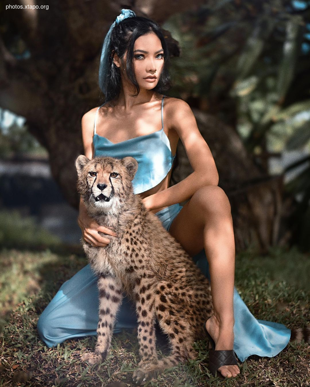 Mr Maxx W Tigerstam,