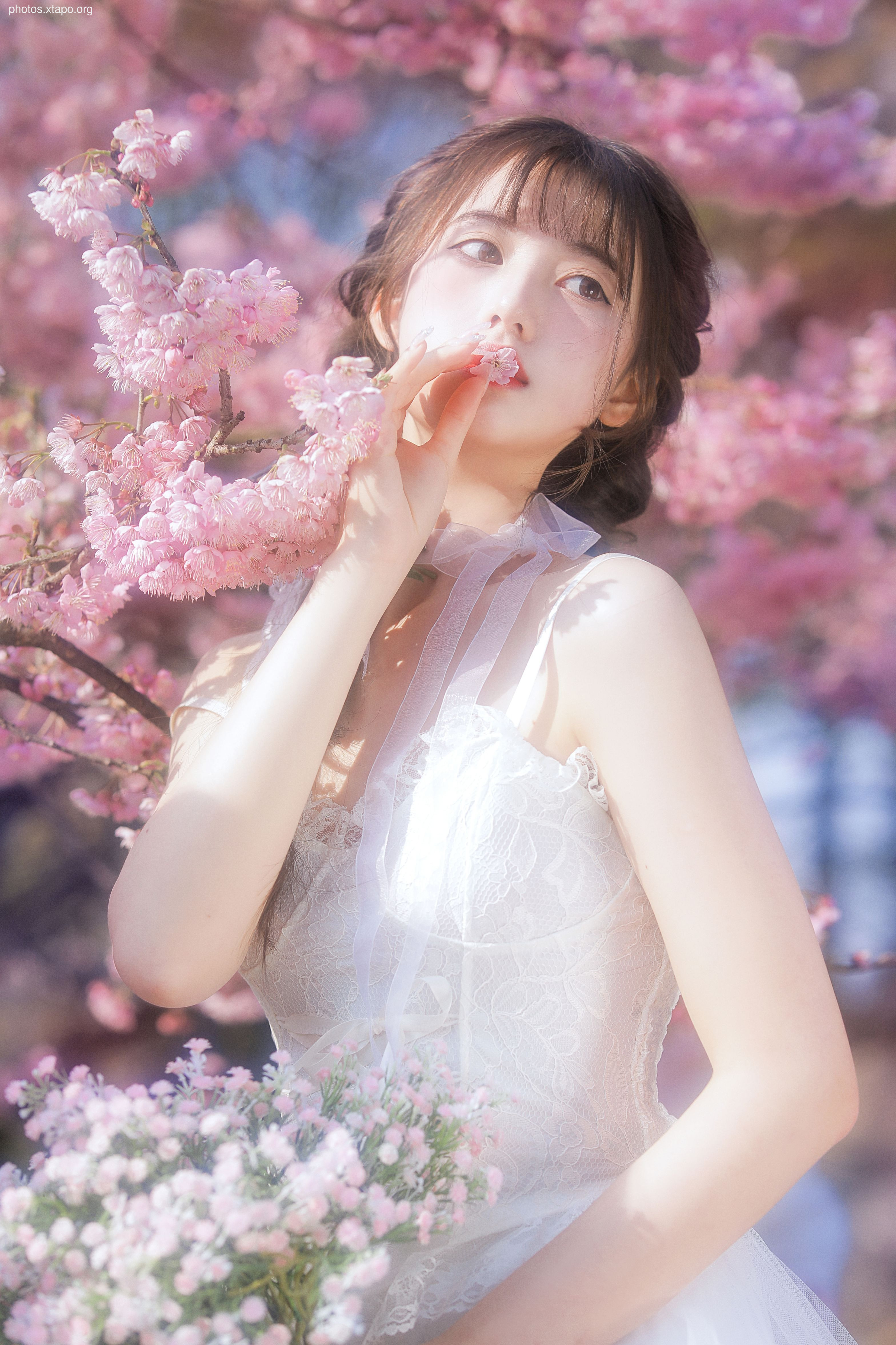 Yizi yiii cherry blossom limited