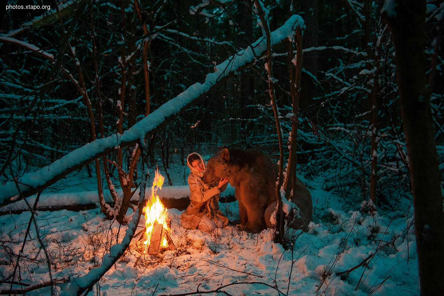 Russia nature, forest and animals by Olga Barantseva