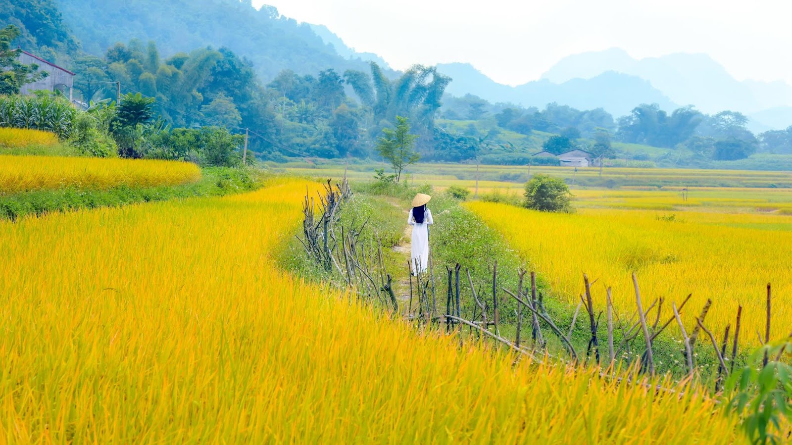 Top 100 most beautiful long dresses in Vietnam