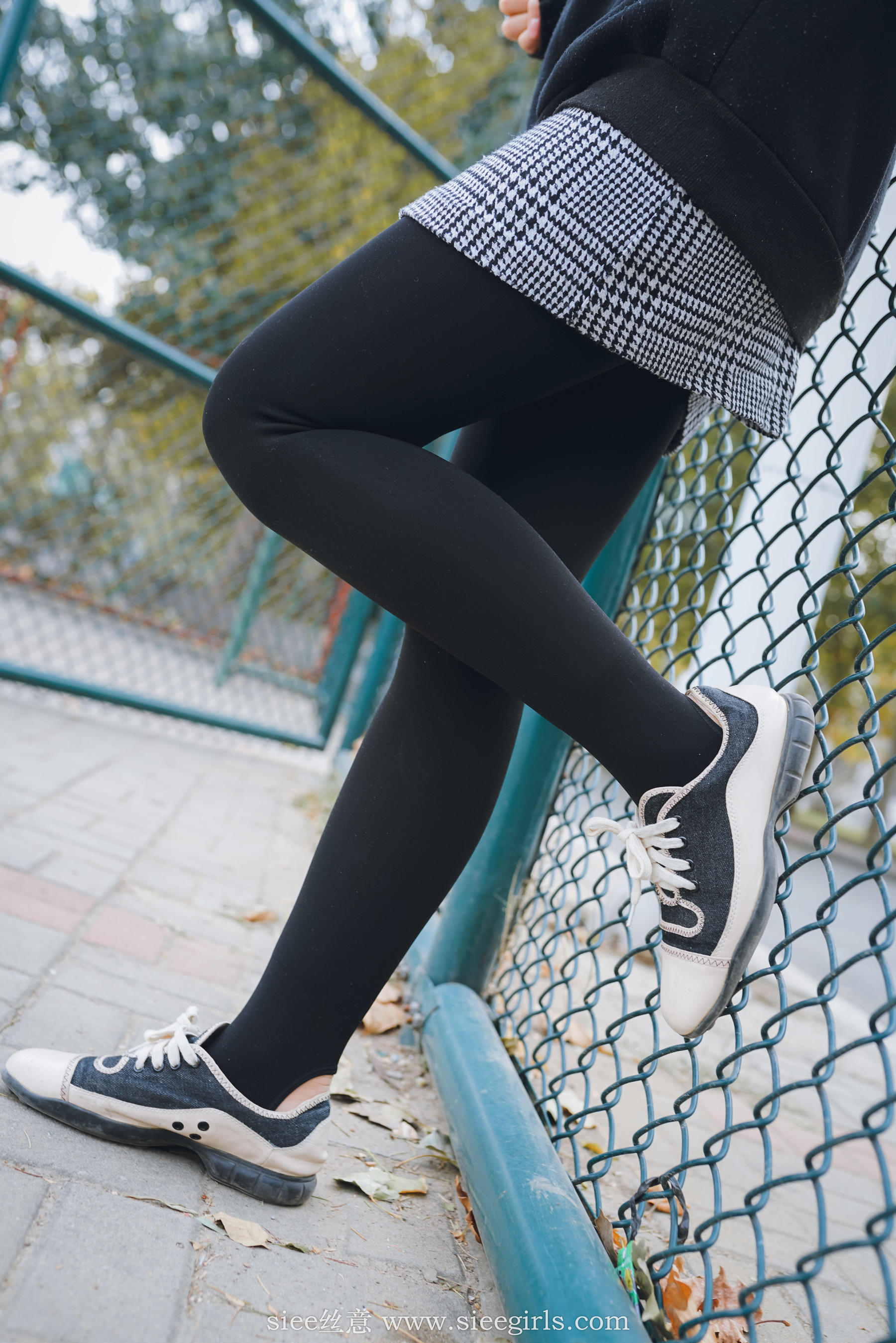 Si Yi Siee The romantic sisters of the bear