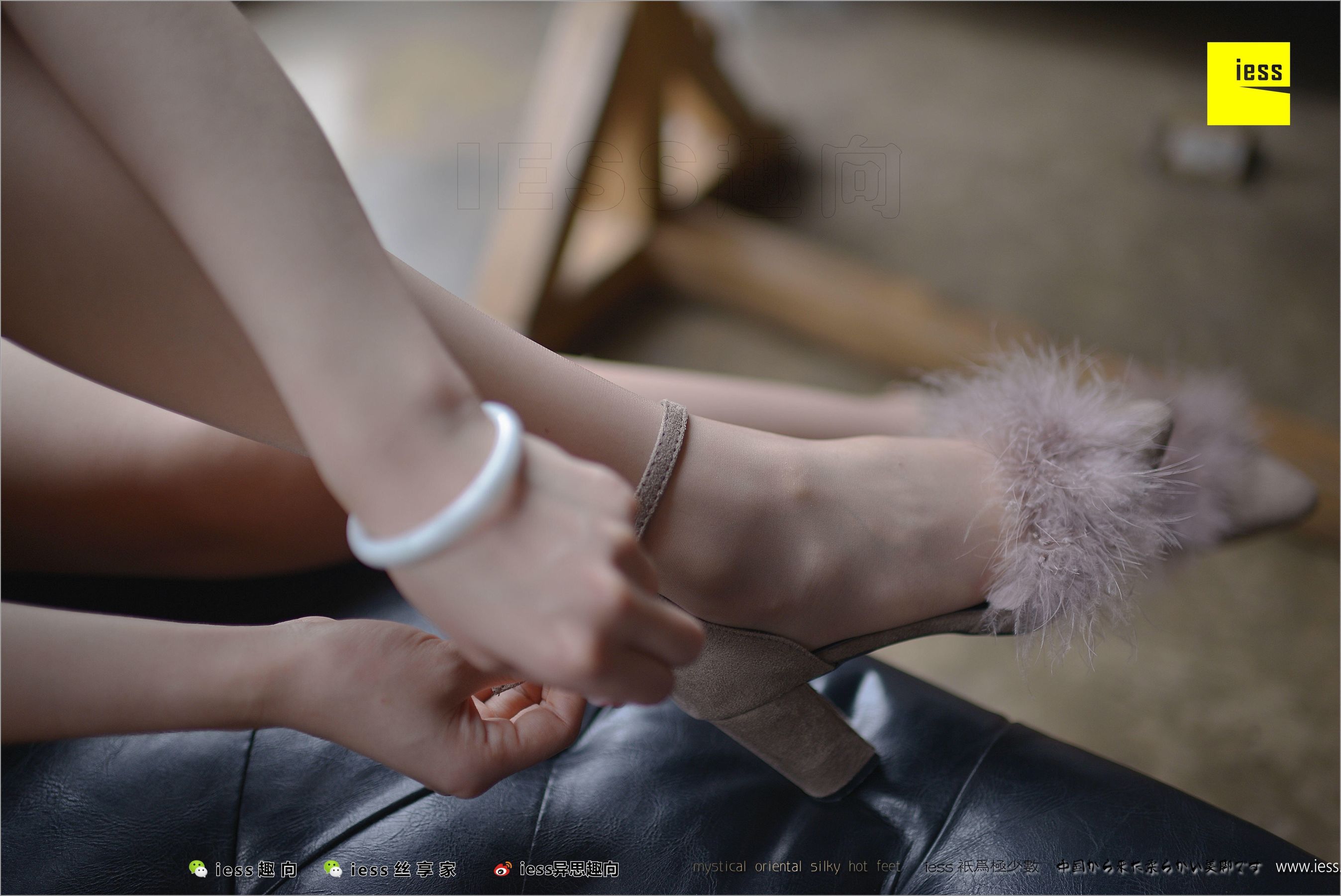 Jiu Mei (Miao) Silk Foot Career Ambassador -Jiu Mei Different Thoughts to IESS Silk Foot Bento 220