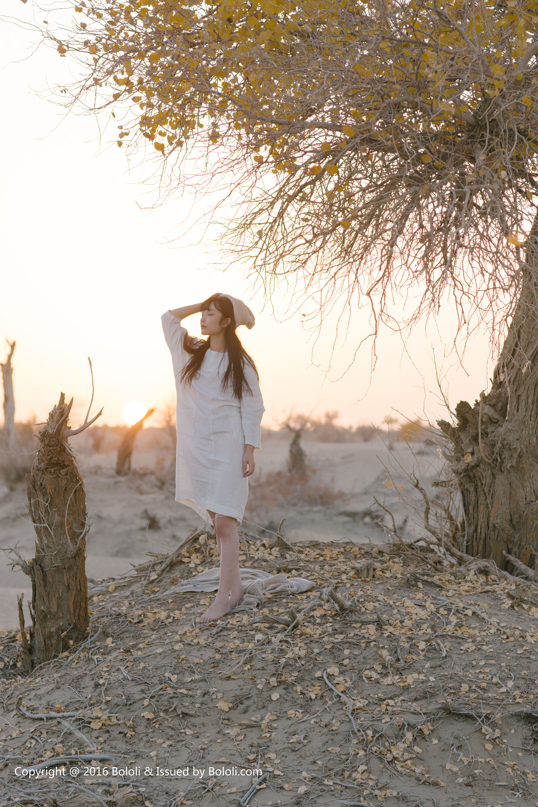 Wang Zhiying Desert Kimoe Que Meng Culture KIM009