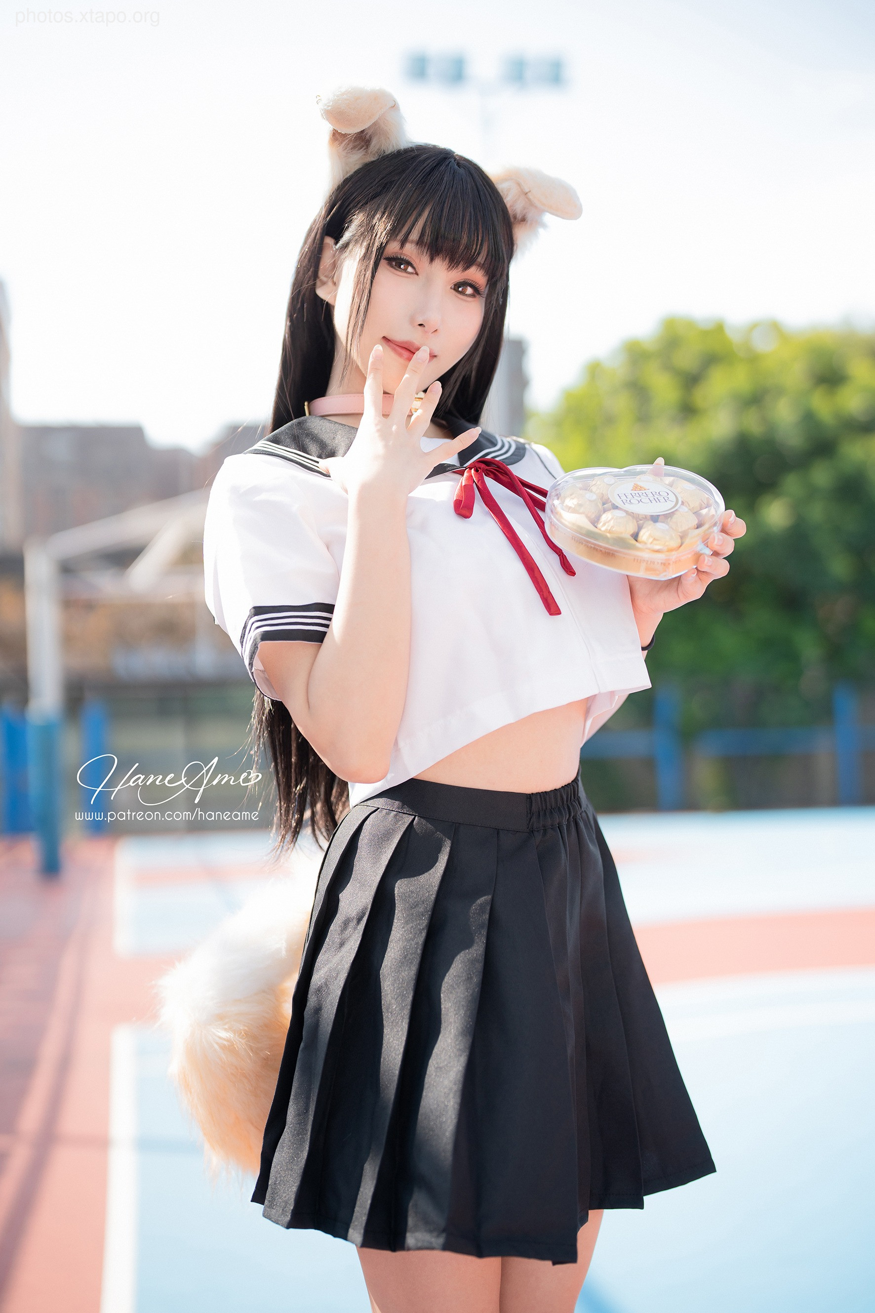 Shiba Inu academic girl Bobo (March 1 reward group resource)