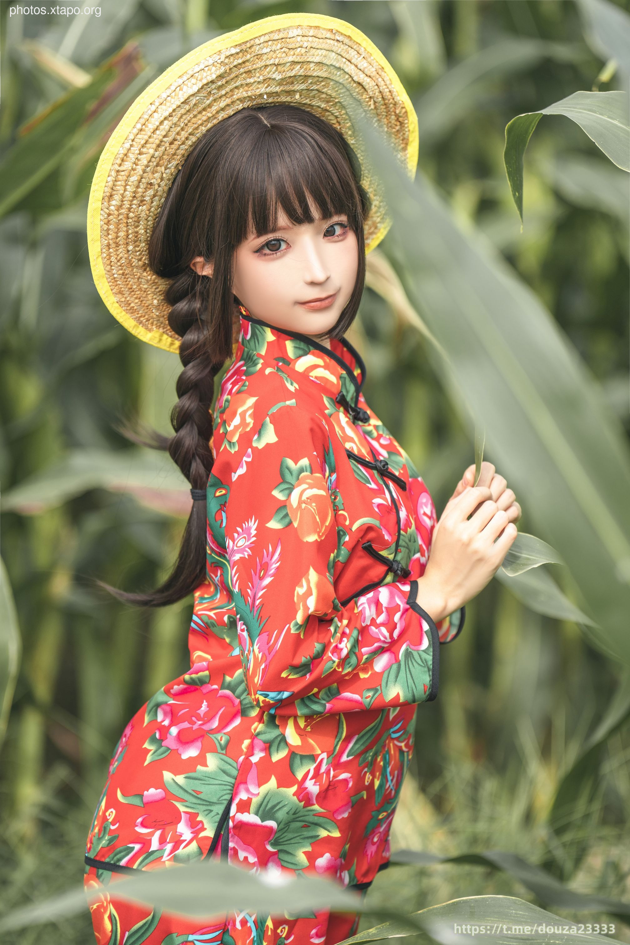 Story of Stupid Momo Rice Land (September 11th Member Resources)