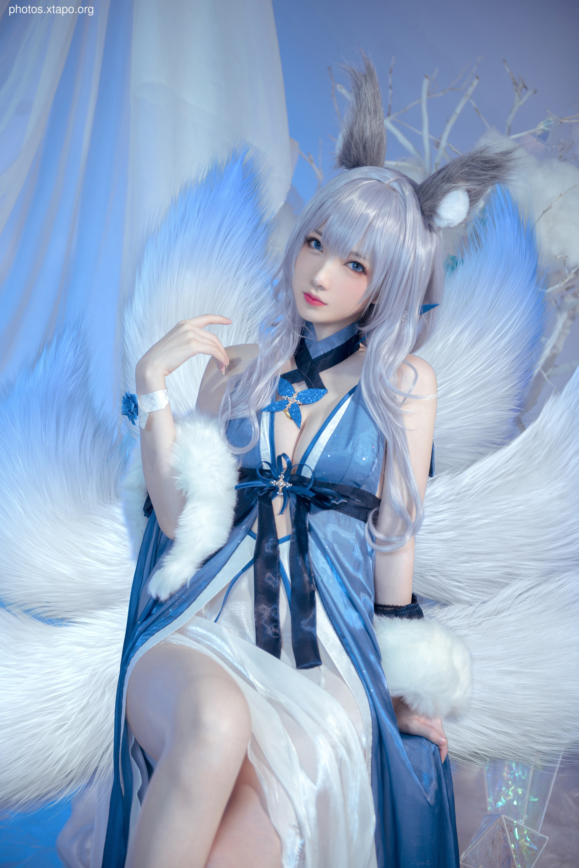 Demon Shao You1 Xinnong 10P-32MB