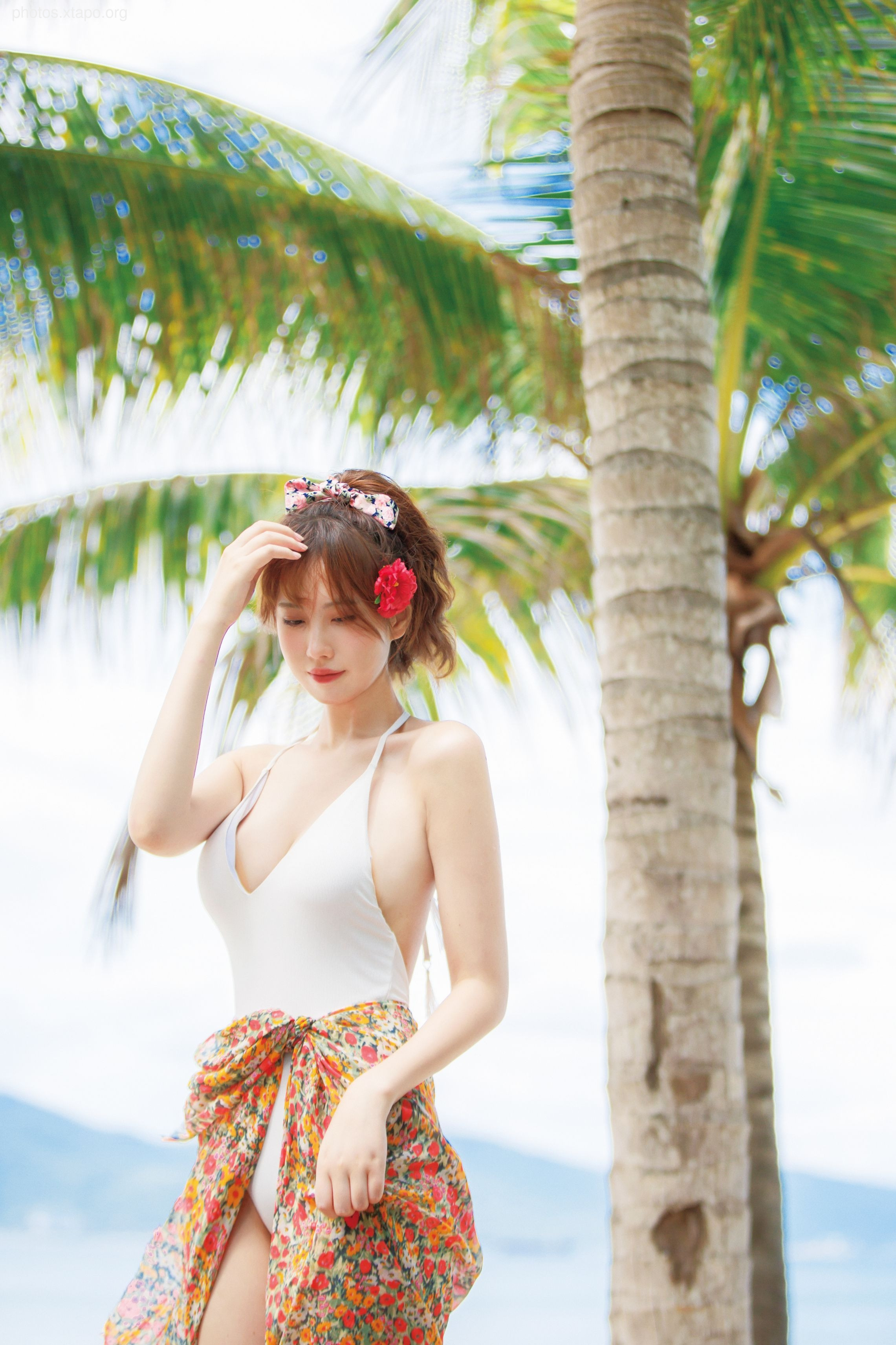 NO.034 Showa Flower 35P-435MB