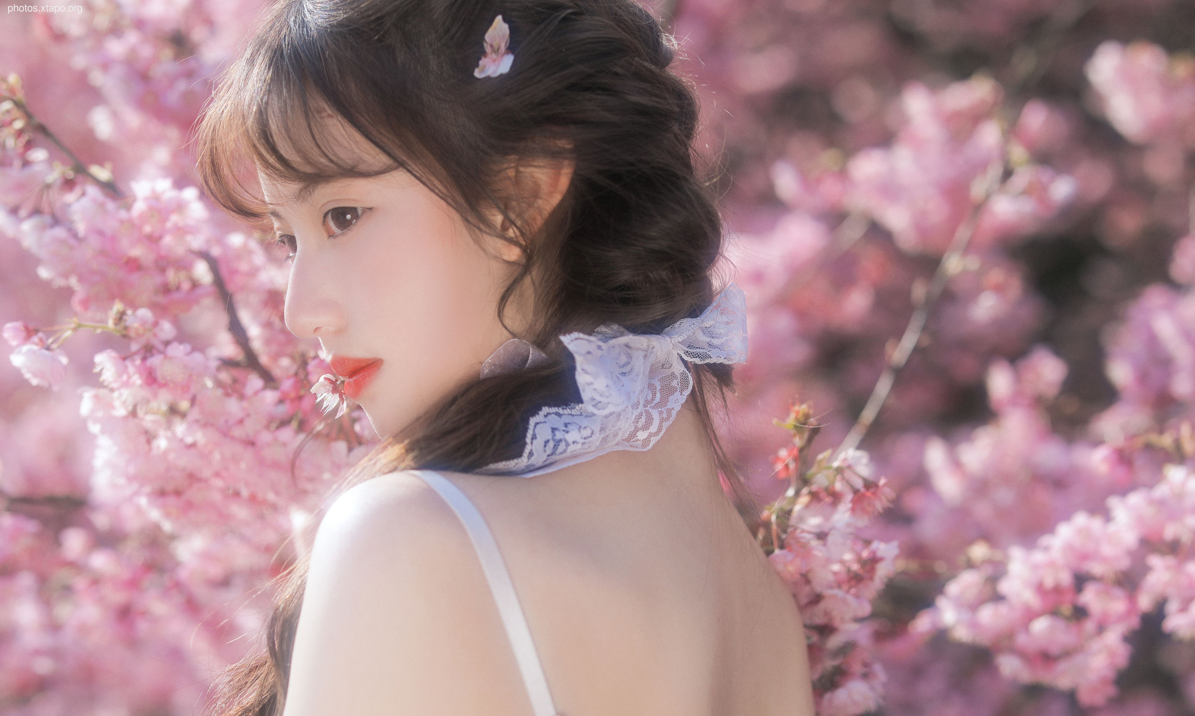 Yizi yiii cherry blossom limited