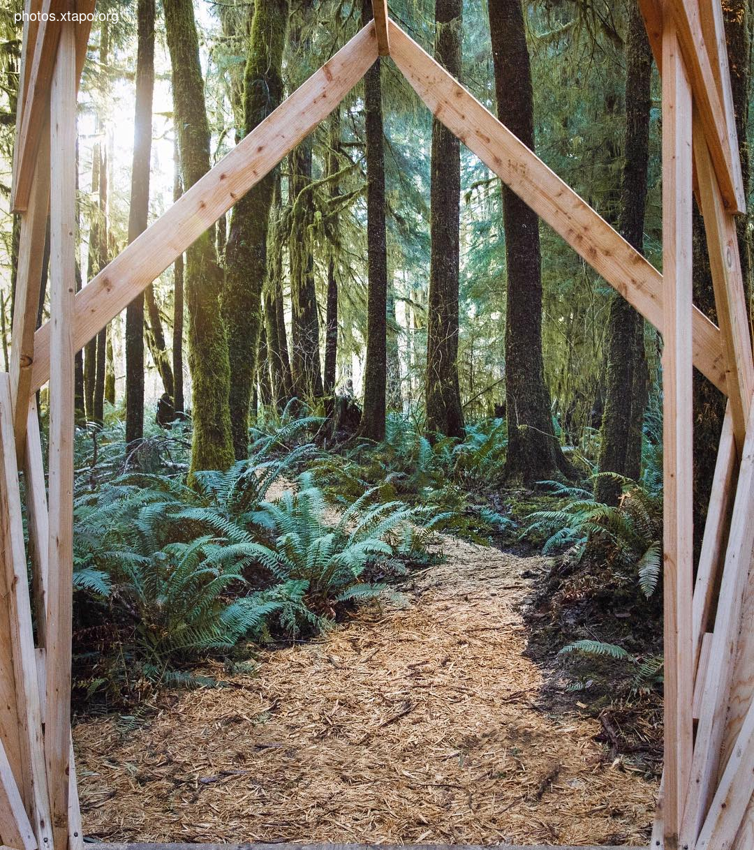 Building a wonderland of artisan cabins nestled in the PNW rainforest by Jacob Witzling & Sara Underwood