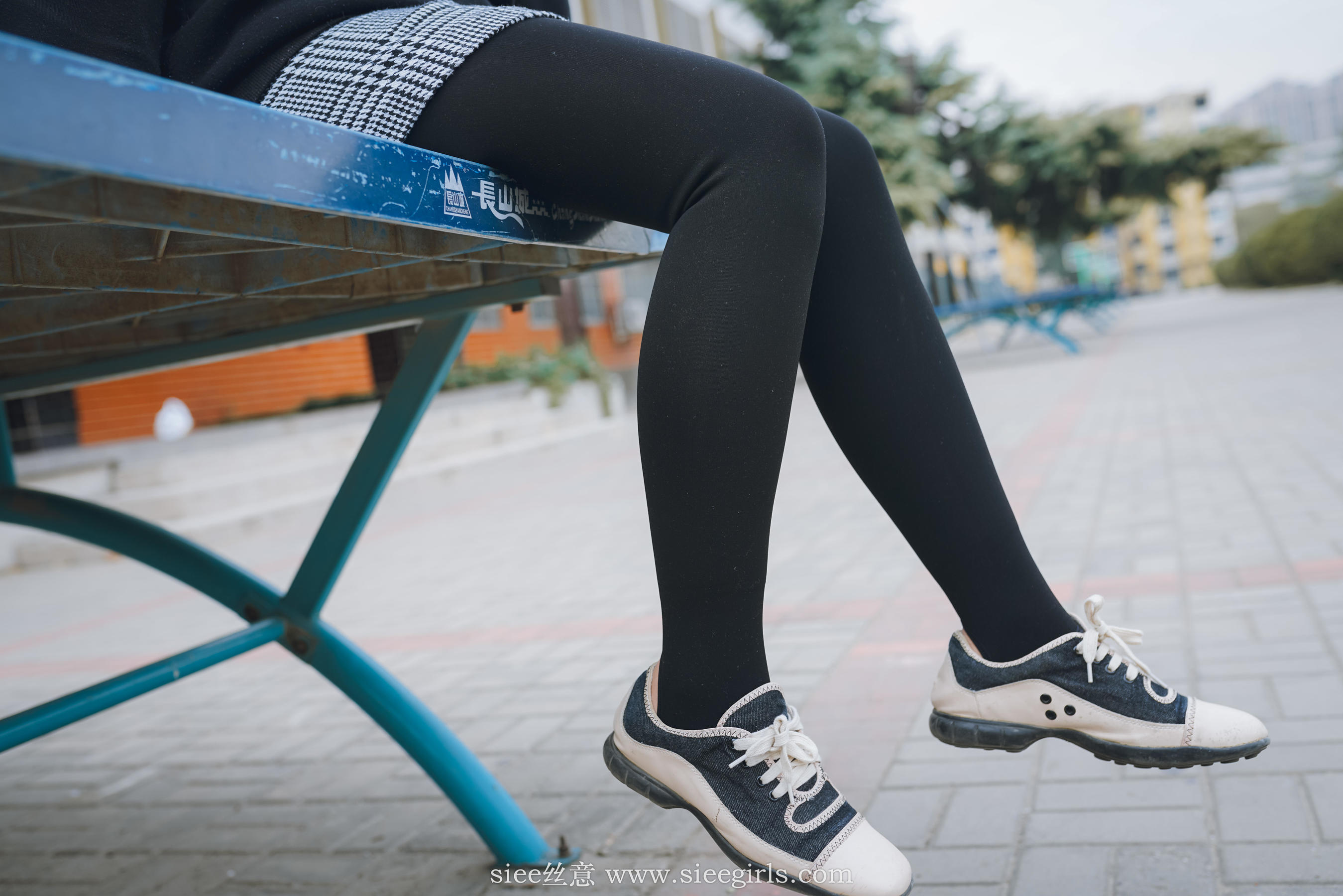 Si Yi Siee The romantic sisters of the bear