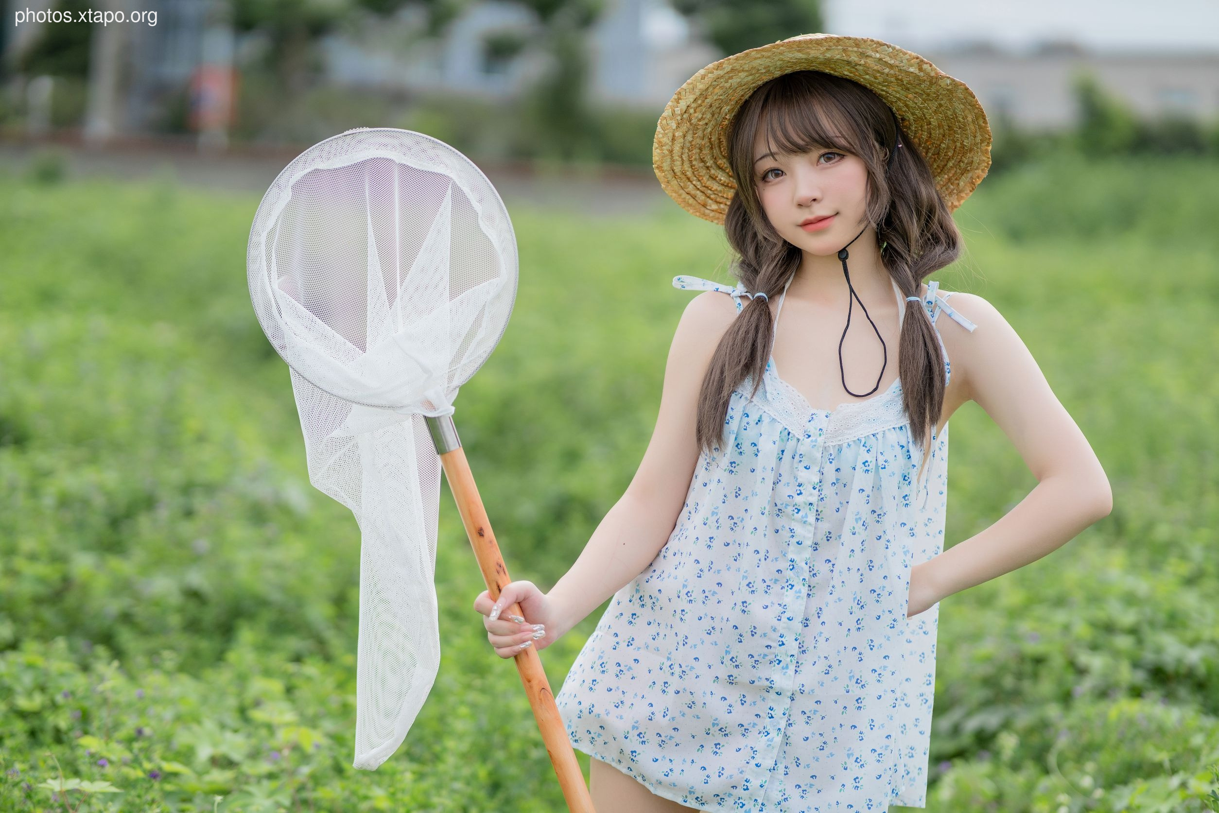 Flower Bellfield (39P425MB)