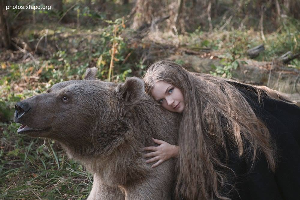 Russia nature, forest and animals by Olga Barantseva