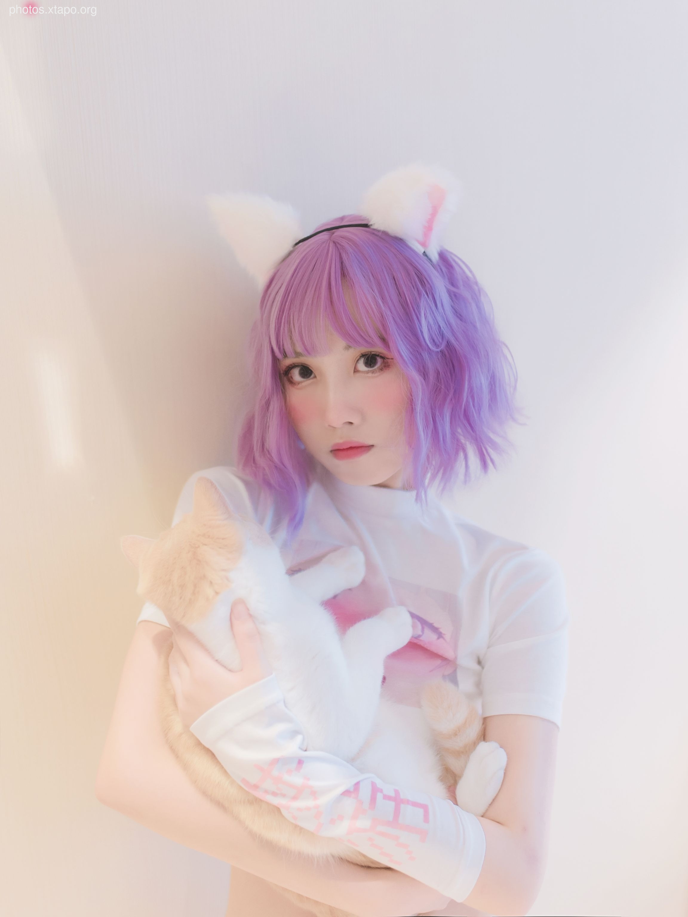 NO.033 Cat Catalog 36P-324MB