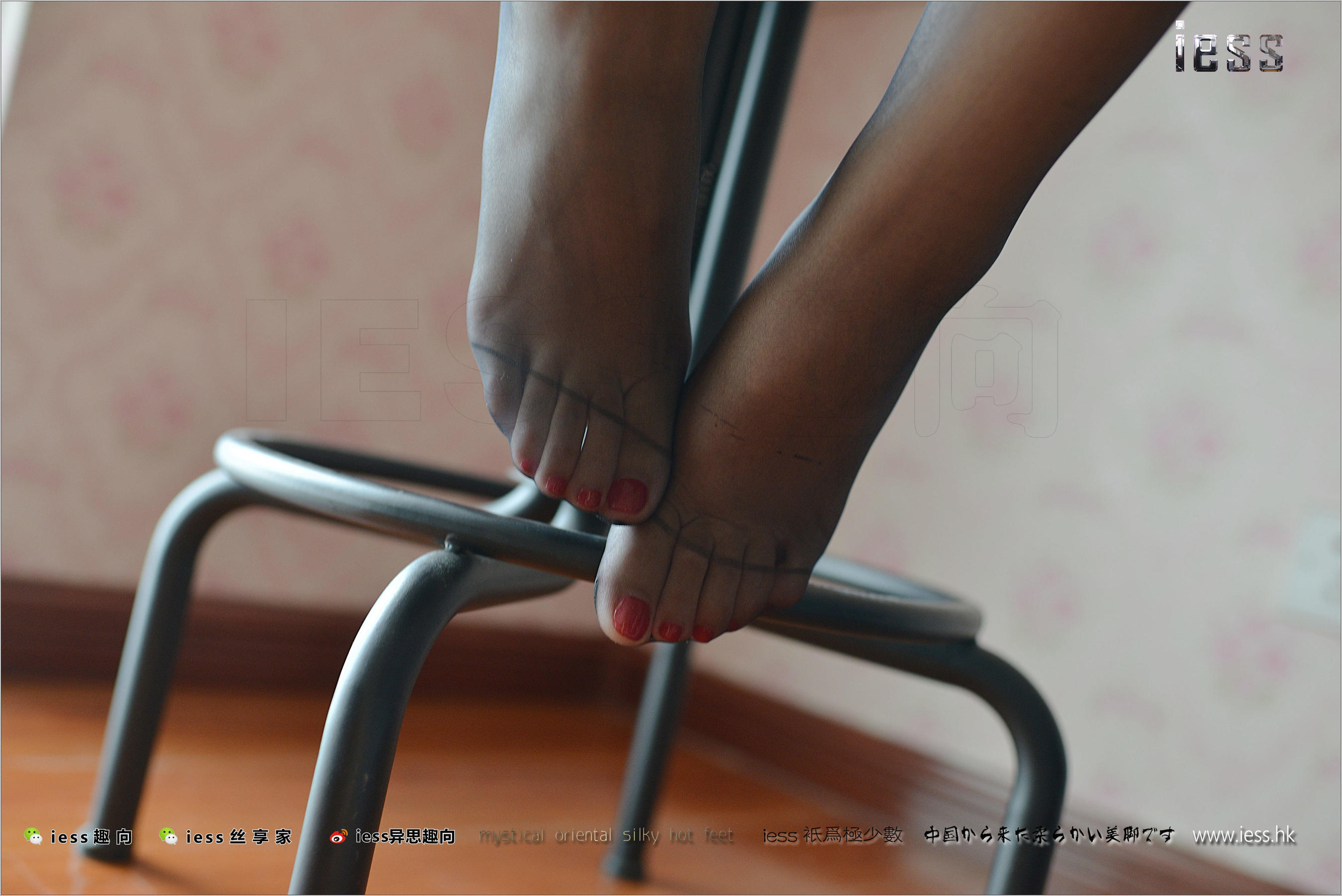 Silk Foot Bento 162 Fangfang's Wife's Black Foot IESS Thinking Funbian