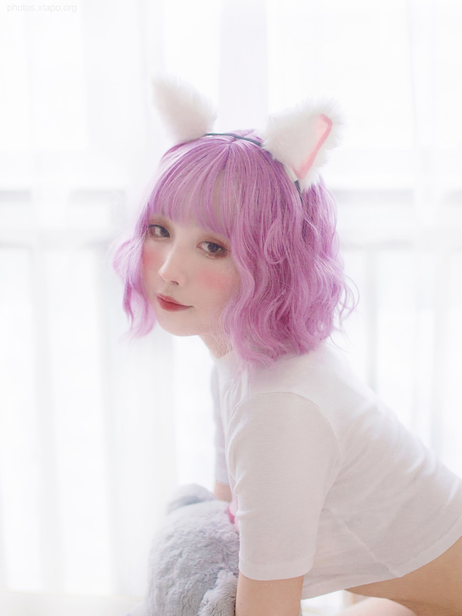 NO.033 Cat Catalog 36P-324MB