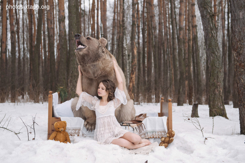 Russia nature, forest and animals by Olga Barantseva