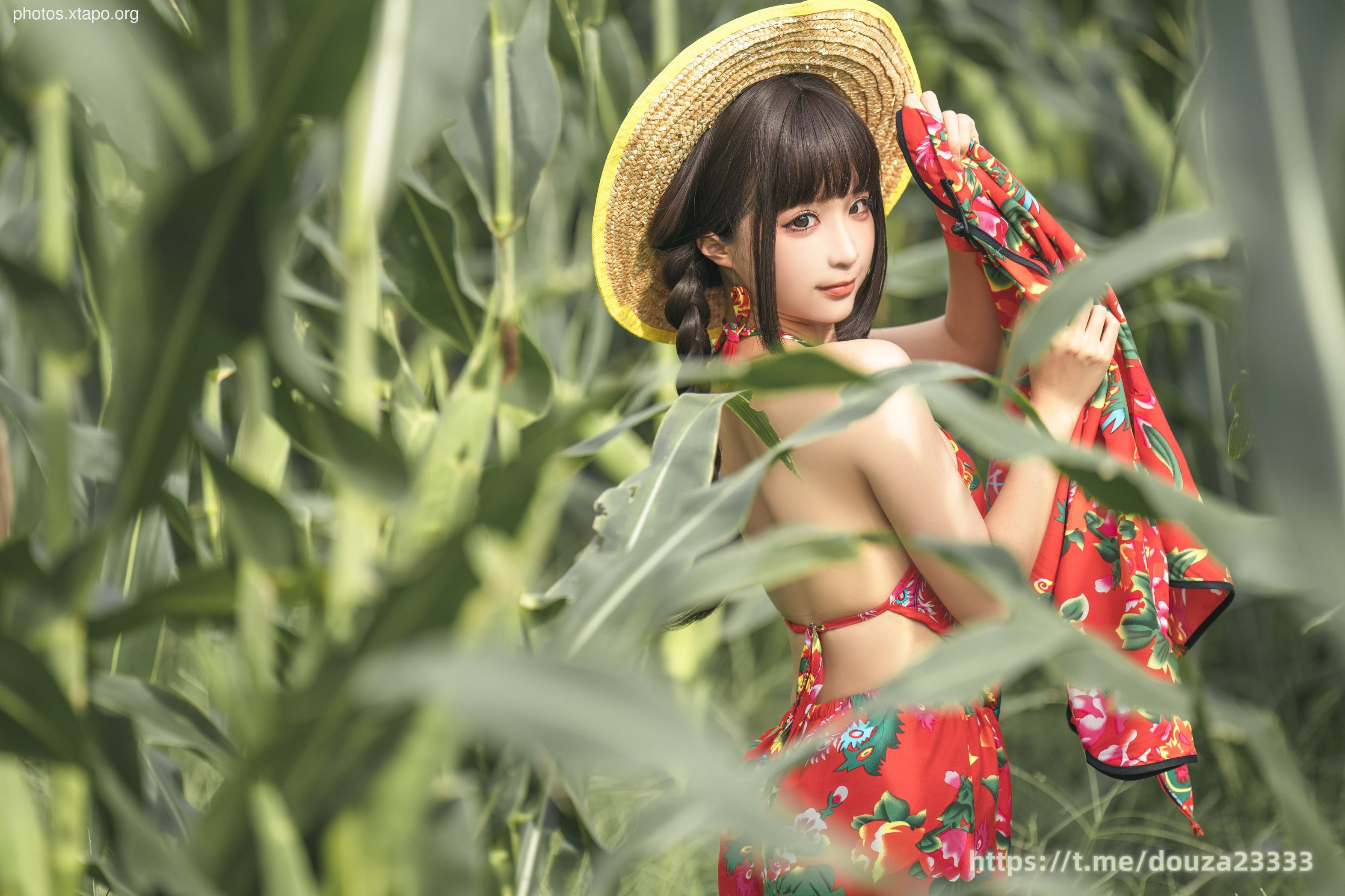 Story of Stupid Momo Rice Land (September 11th Member Resources)