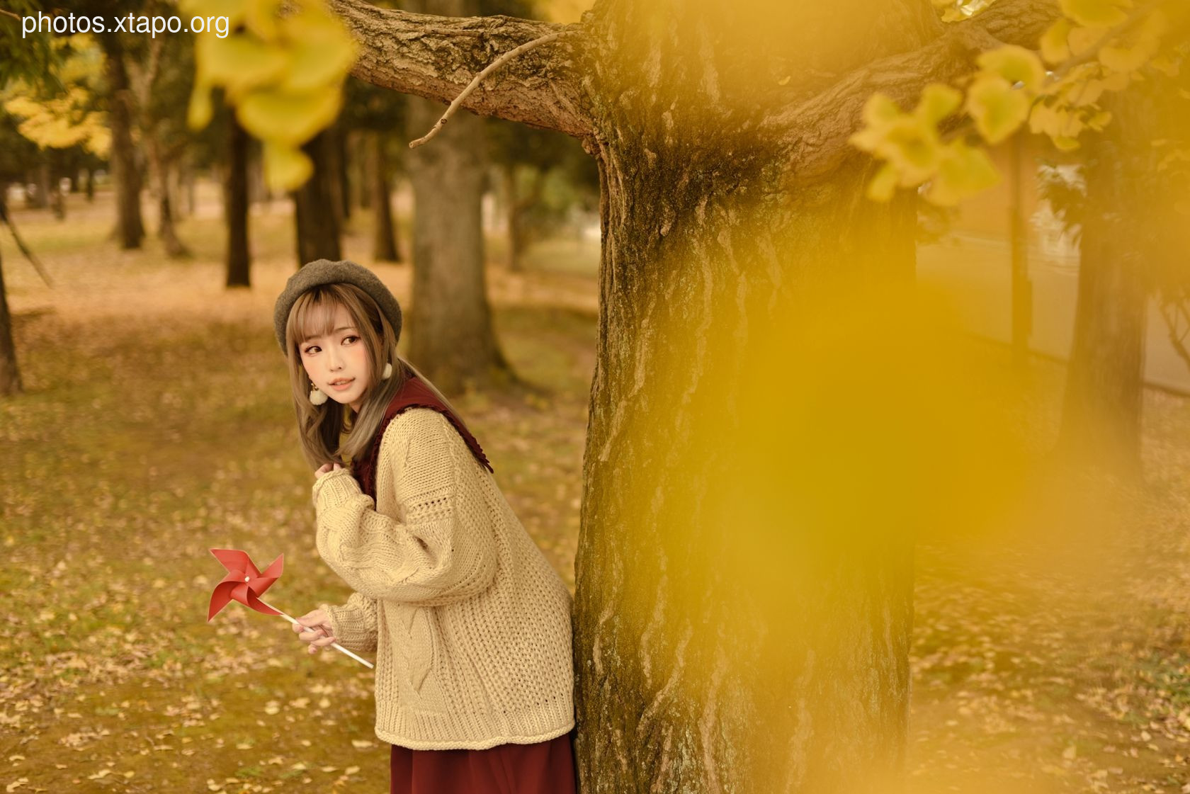 1 (Extra)Autumn 41P-161MB