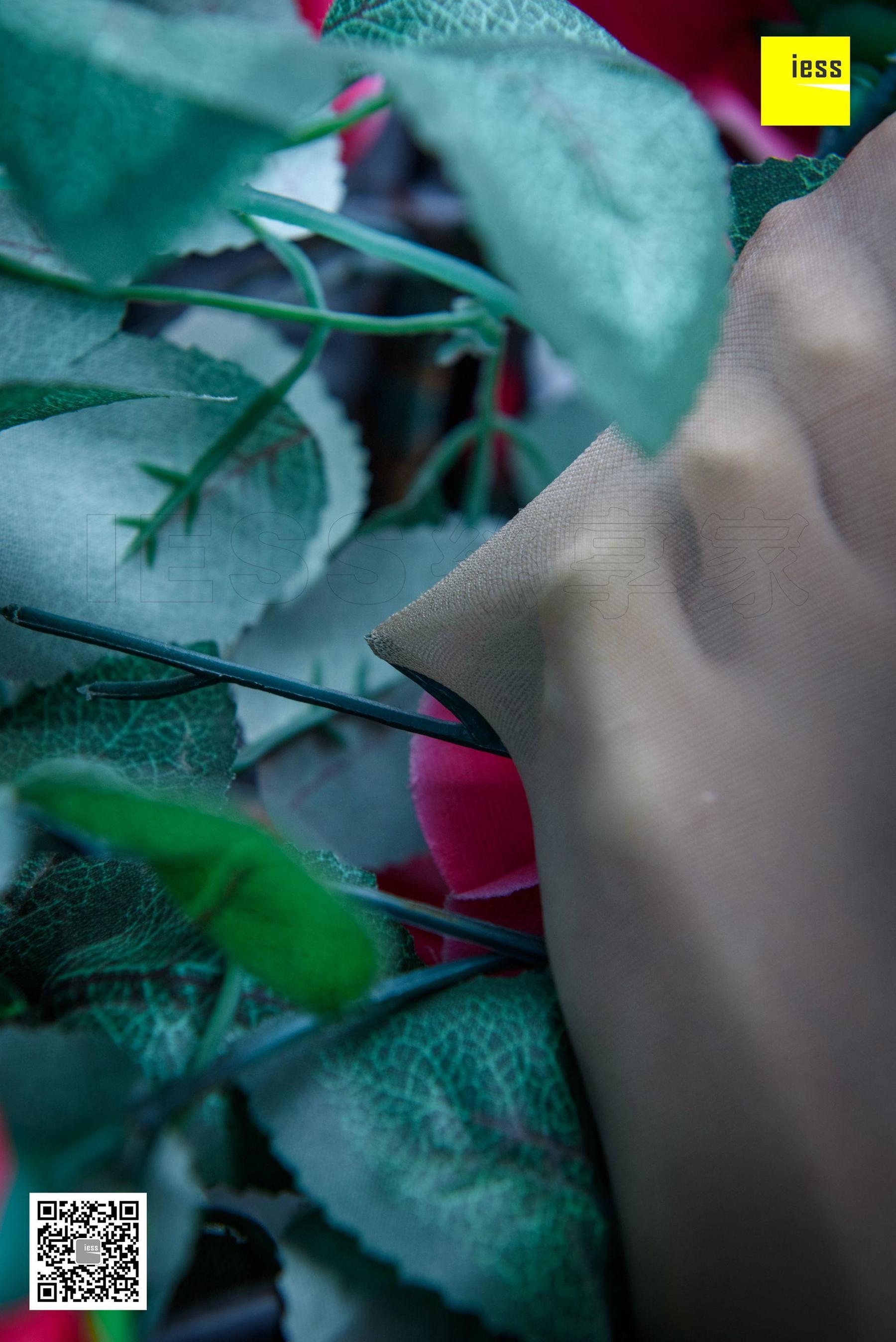 Wan Ping's Rose and Patriarchs Fun Thoughts to IESS Silk Enjoy Home 161