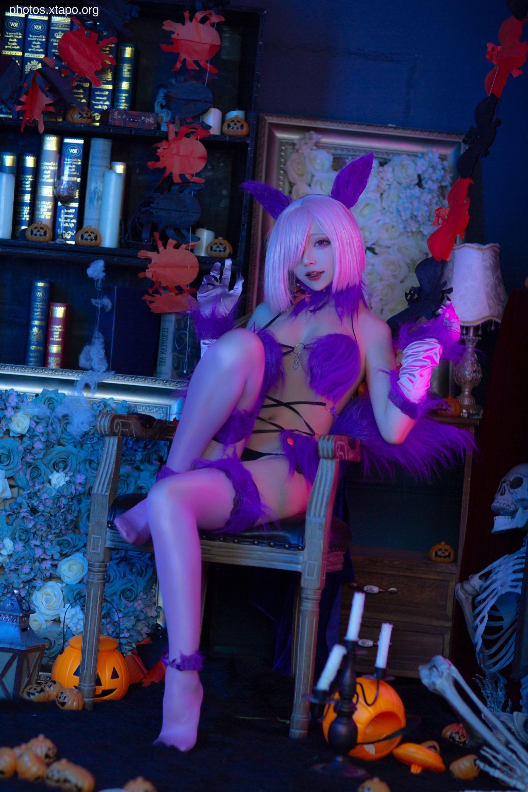 NO.0255 Halloween Matthew 41P-462M