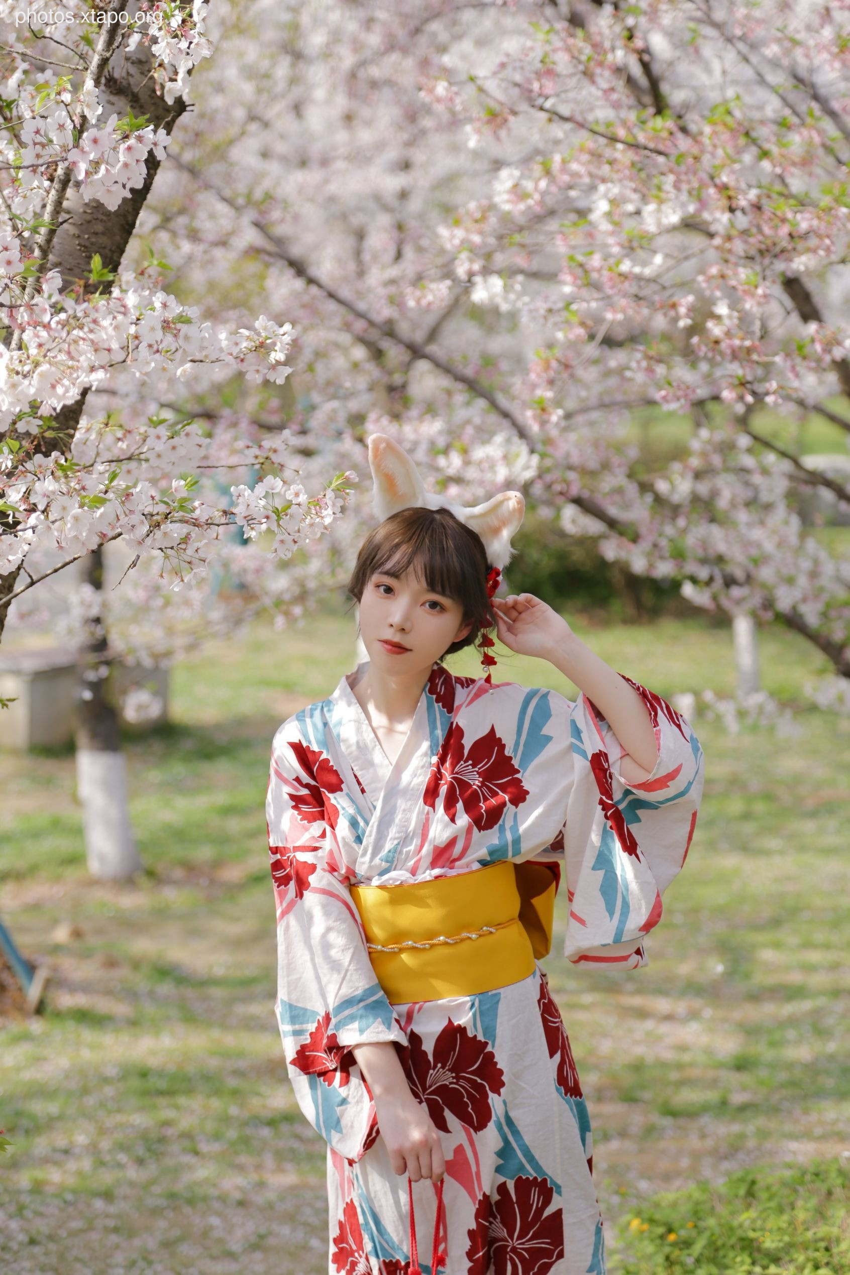 NO.017 Sakura Rabbit