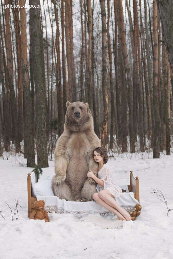 Russia nature, forest and animals by Olga Barantseva