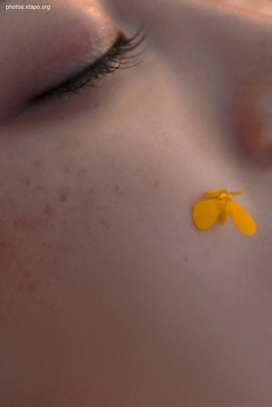 Thệp nguyit vi huân micro -醺 October October