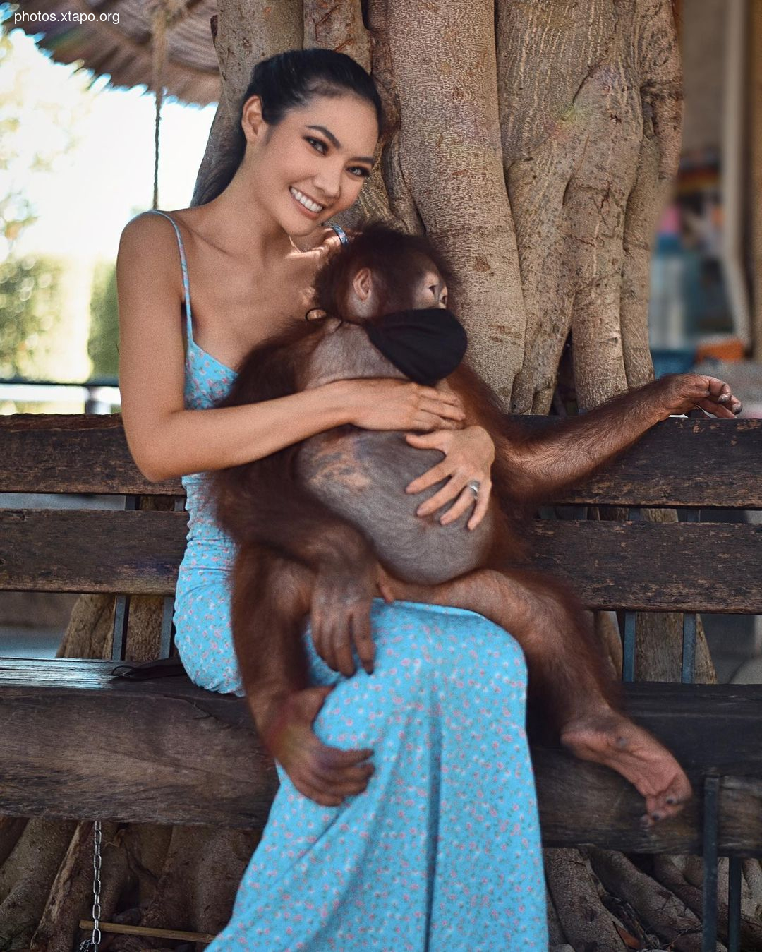 Mr Maxx W Tigerstam,