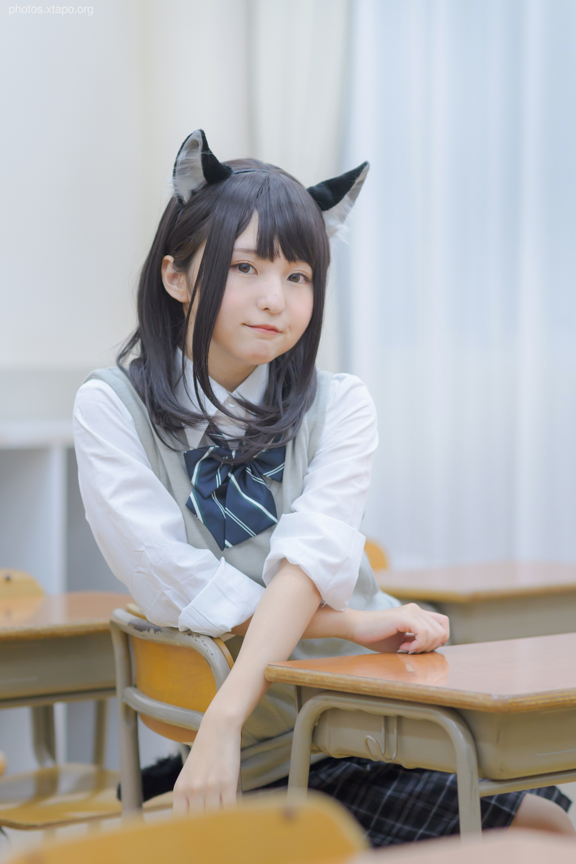 C96 Tofu Factory (Anni Tofu) mamefu Chaton