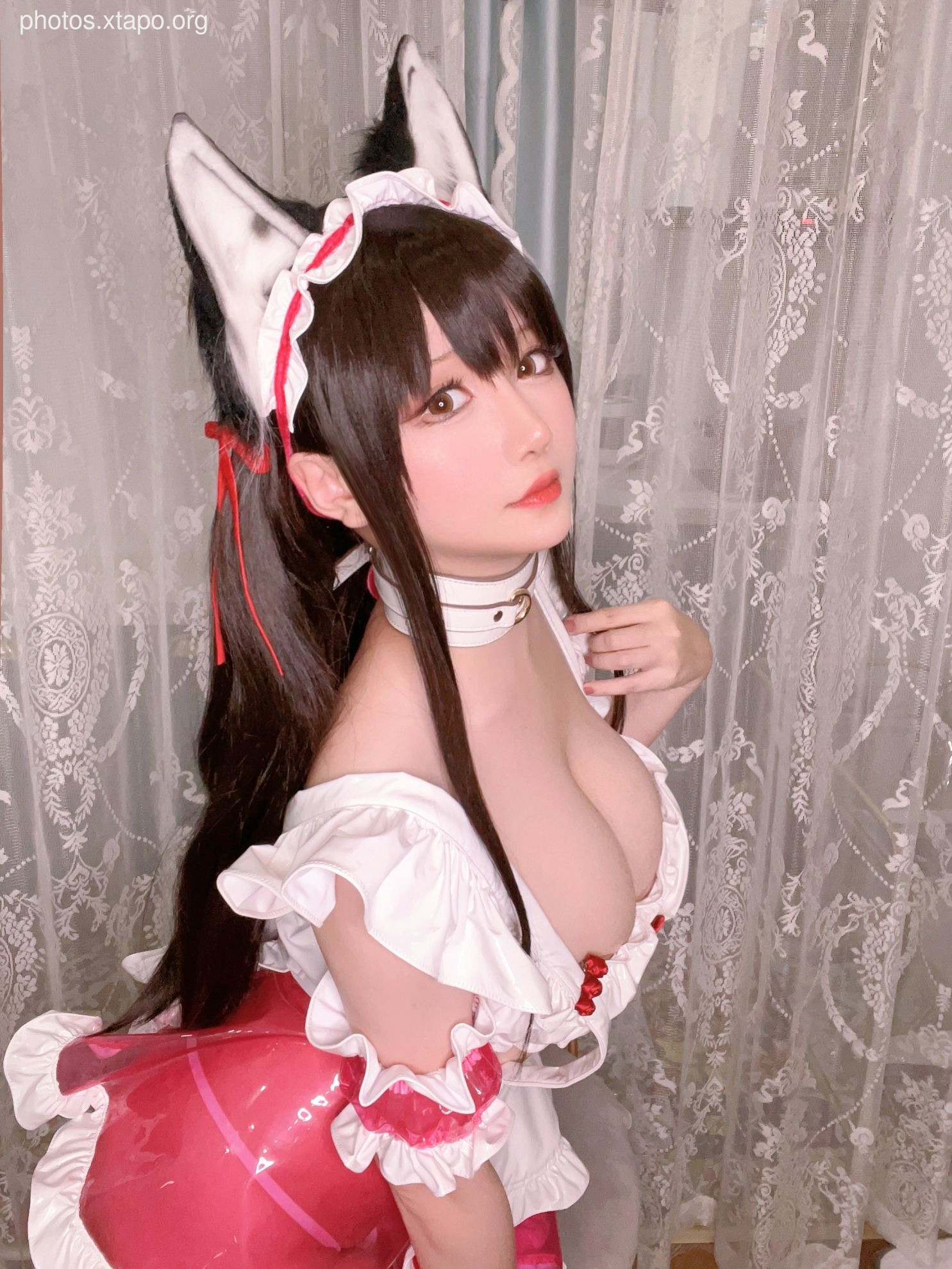 Stars Late October Plan D Original-Hypnosis Sister (November 12 Award Group Resources)