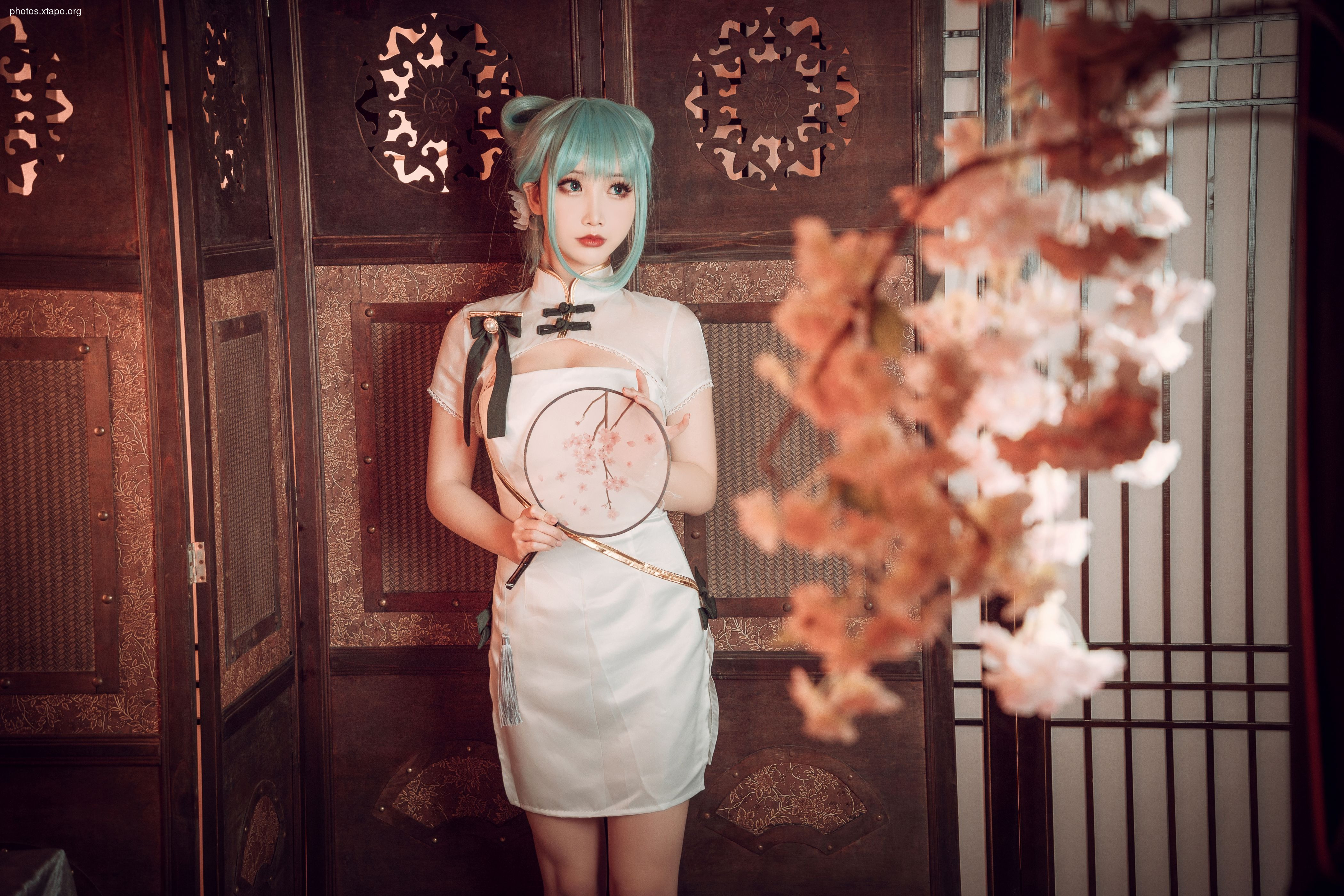 Noodle Fairy Hatsune Cheongsam28P-514MB