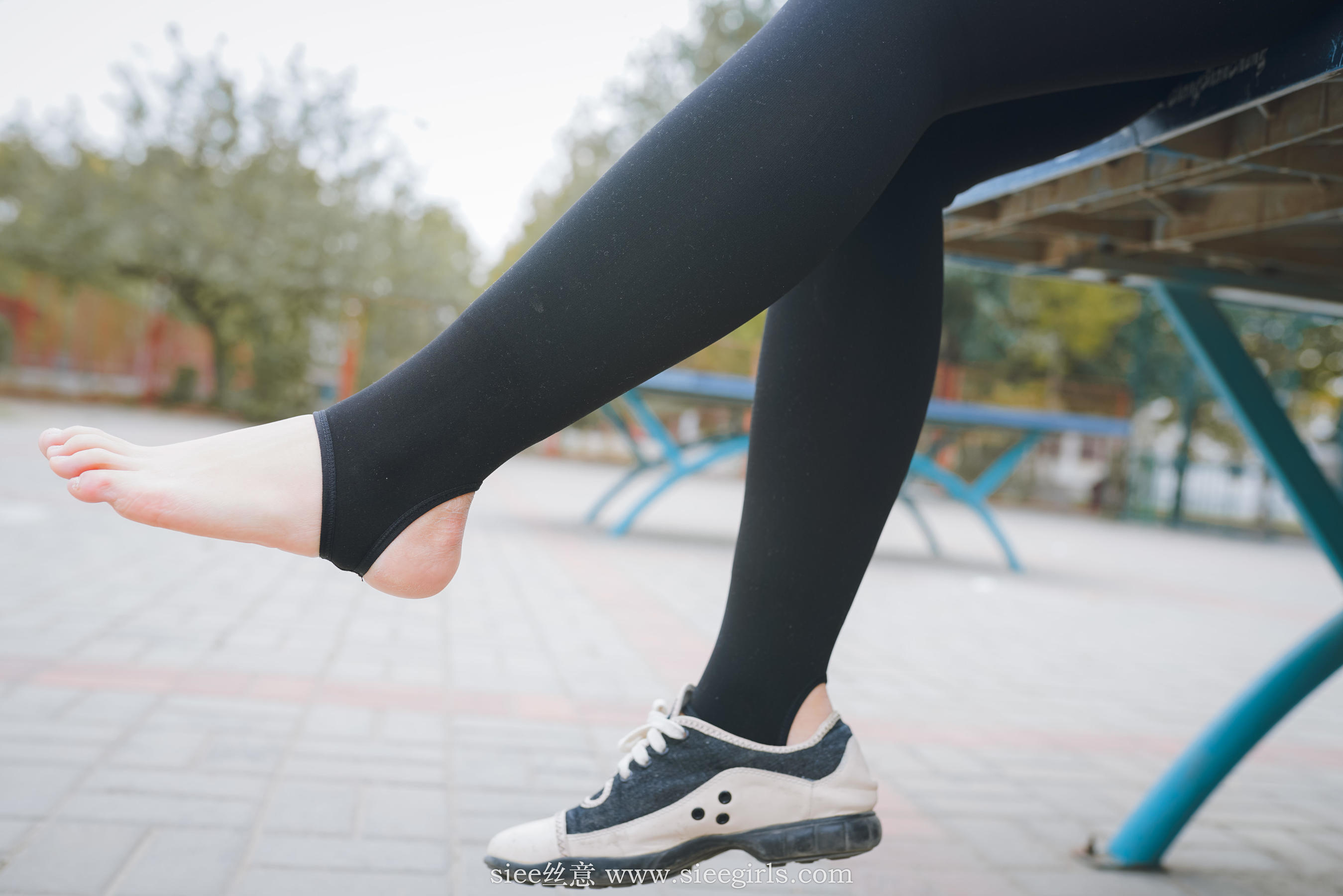 Si Yi Siee The romantic sisters of the bear