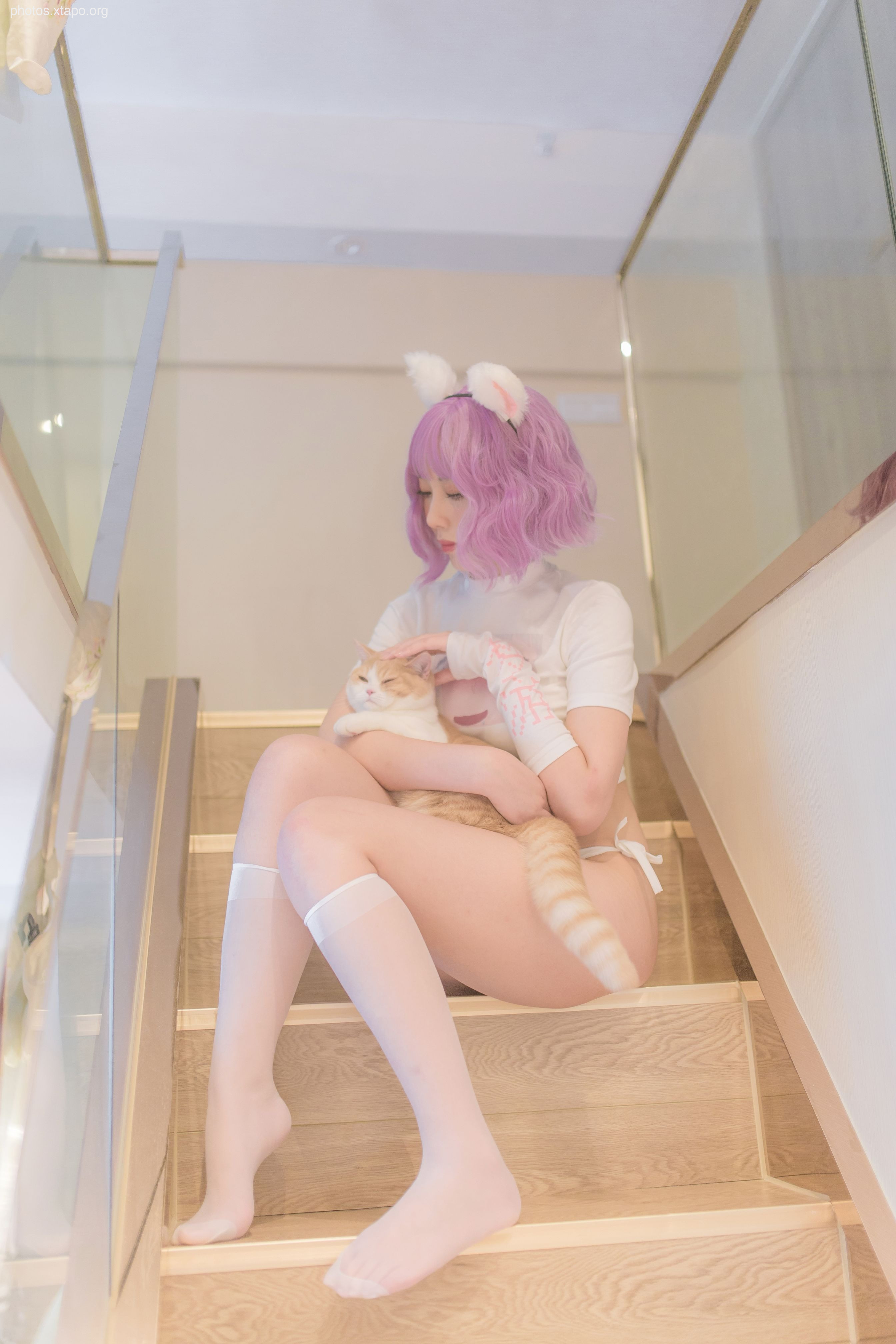 NO.033 Cat Catalog 36P-324MB