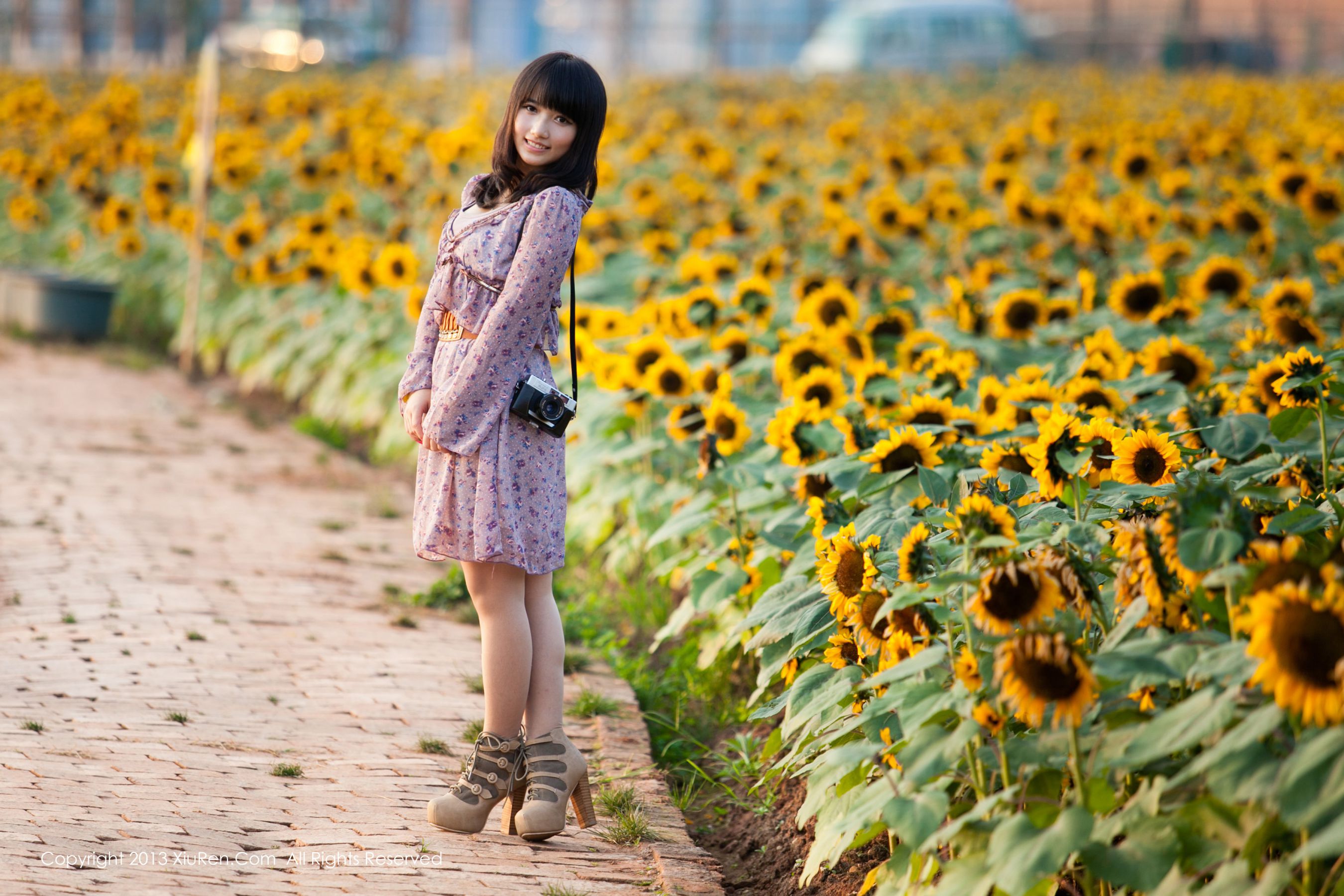 Midmarkless and Fresh Collection Xiuren No.053