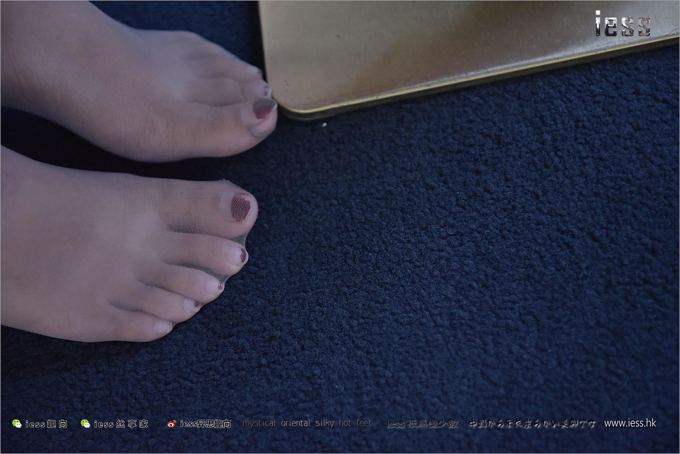 Silk Foot Bento 149 Wan Ping's Afternoon Tea Time of Gray Silk White Words