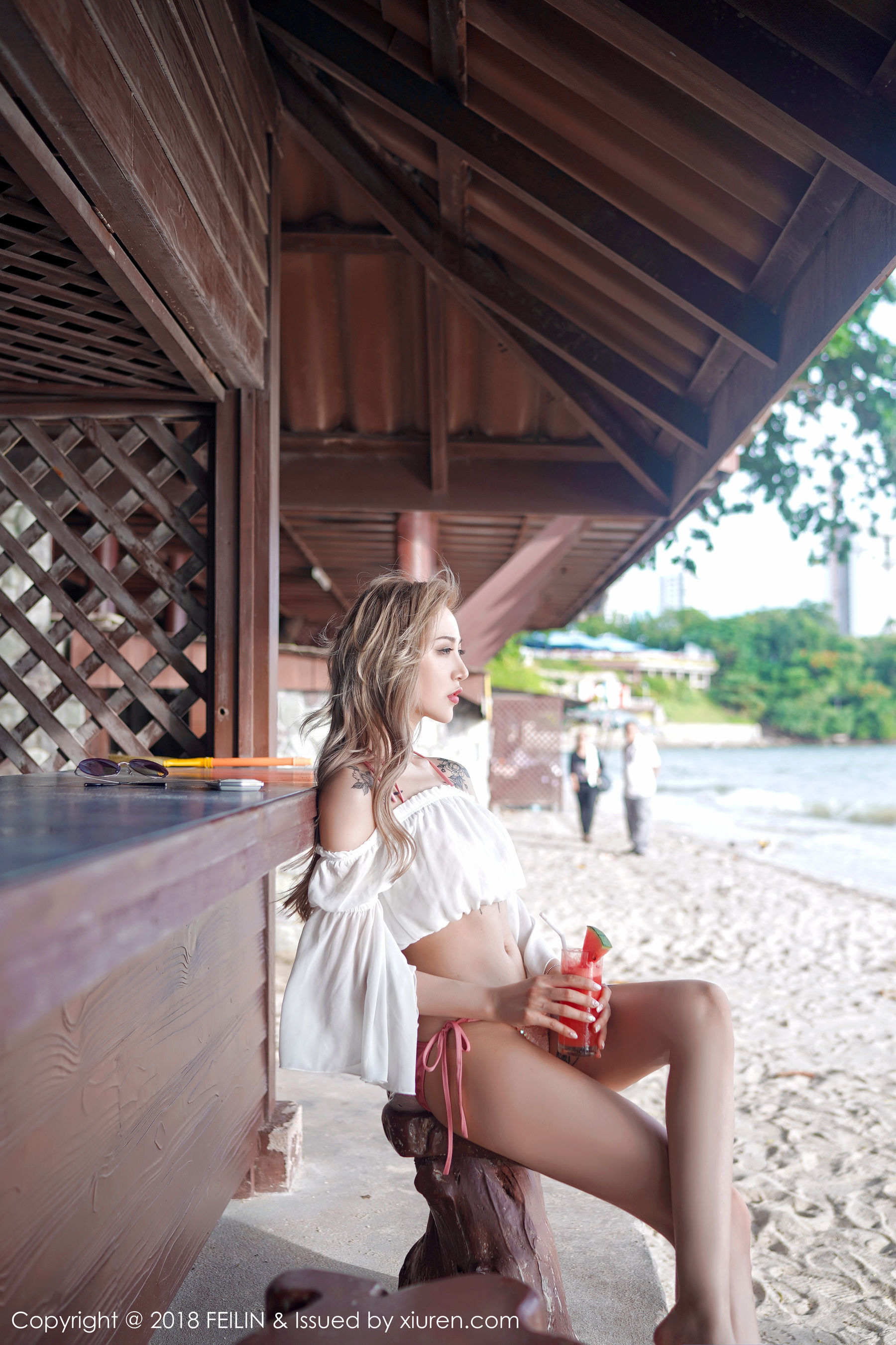 Han Grand VIA Bikini Wet 囡 Feilin Vol.136