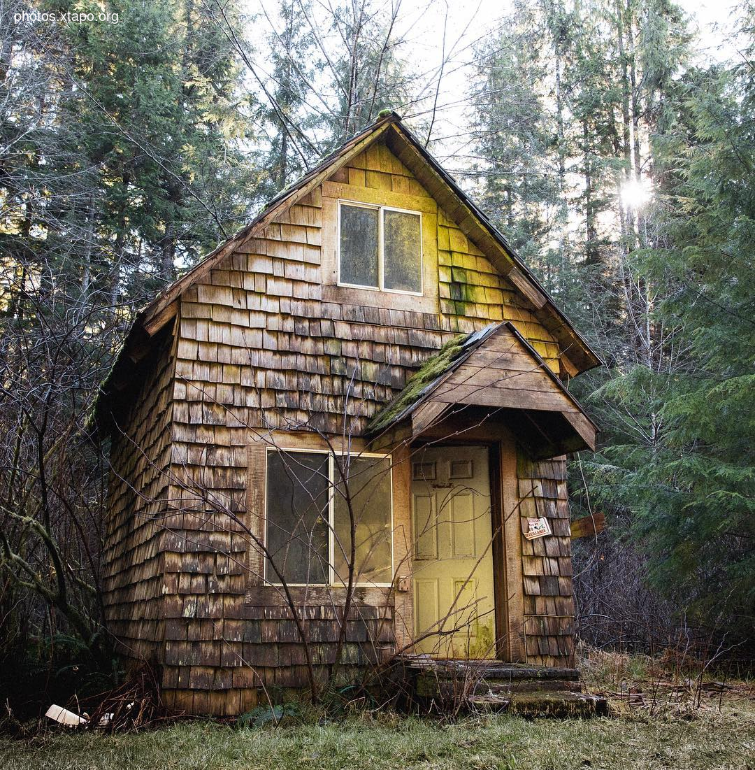 Building a wonderland of artisan cabins nestled in the PNW rainforest by Jacob Witzling & Sara Underwood