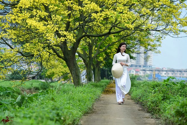 The road, between the pain The pain is just enough to miss each other, smile | Like ca