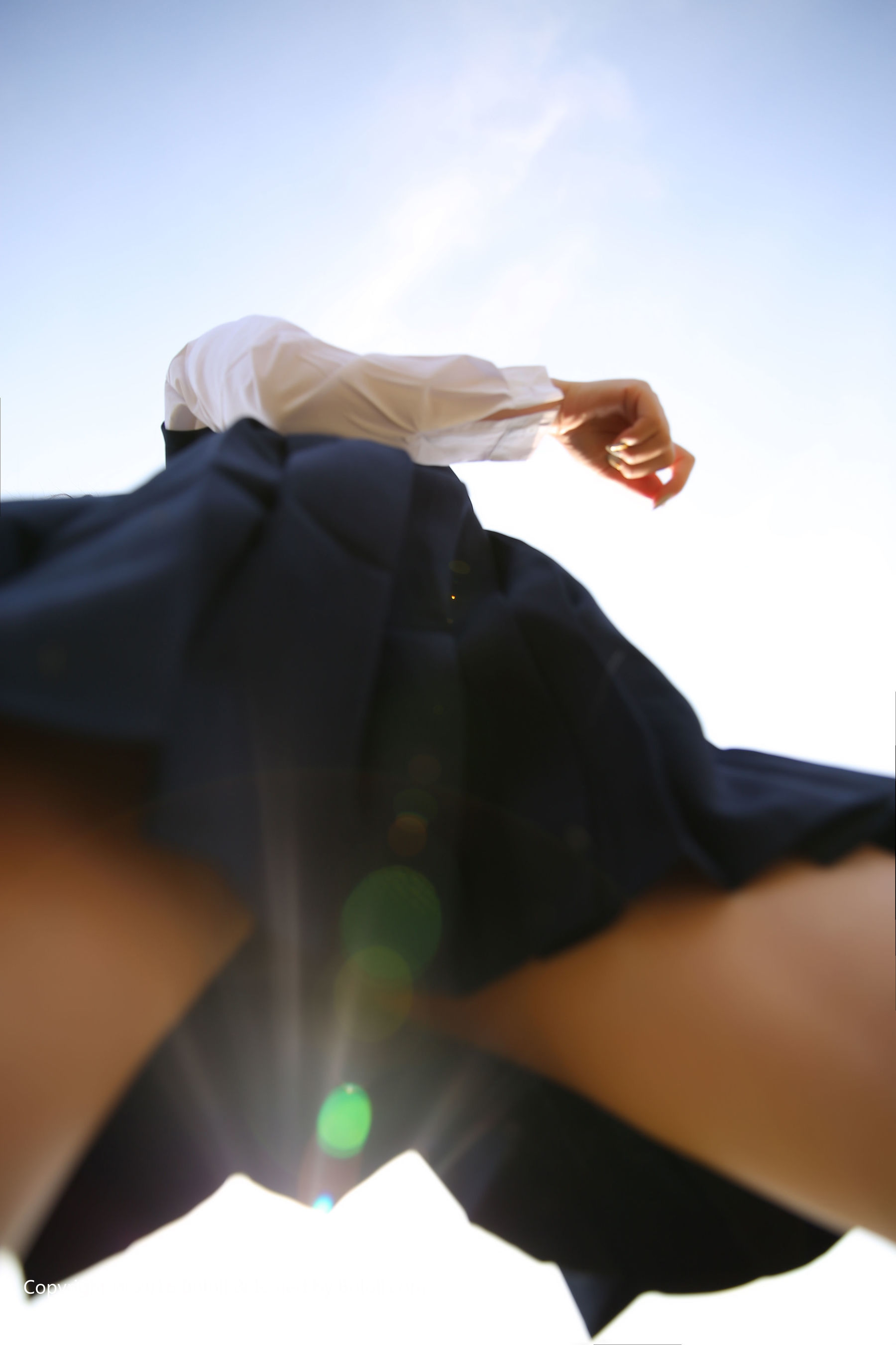 Liu Yanqi Seven Treasures Japanese Travel Special Bololi Polo Society bol.011