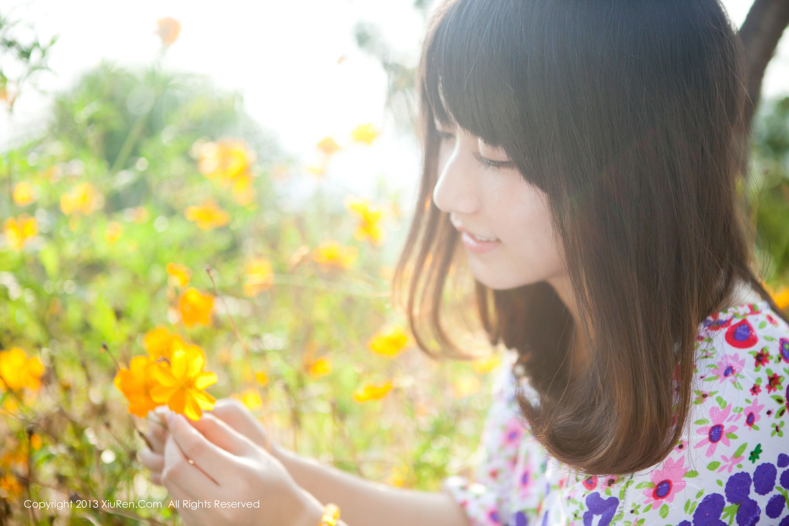 Midmarkless and Fresh Collection Xiuren No.053