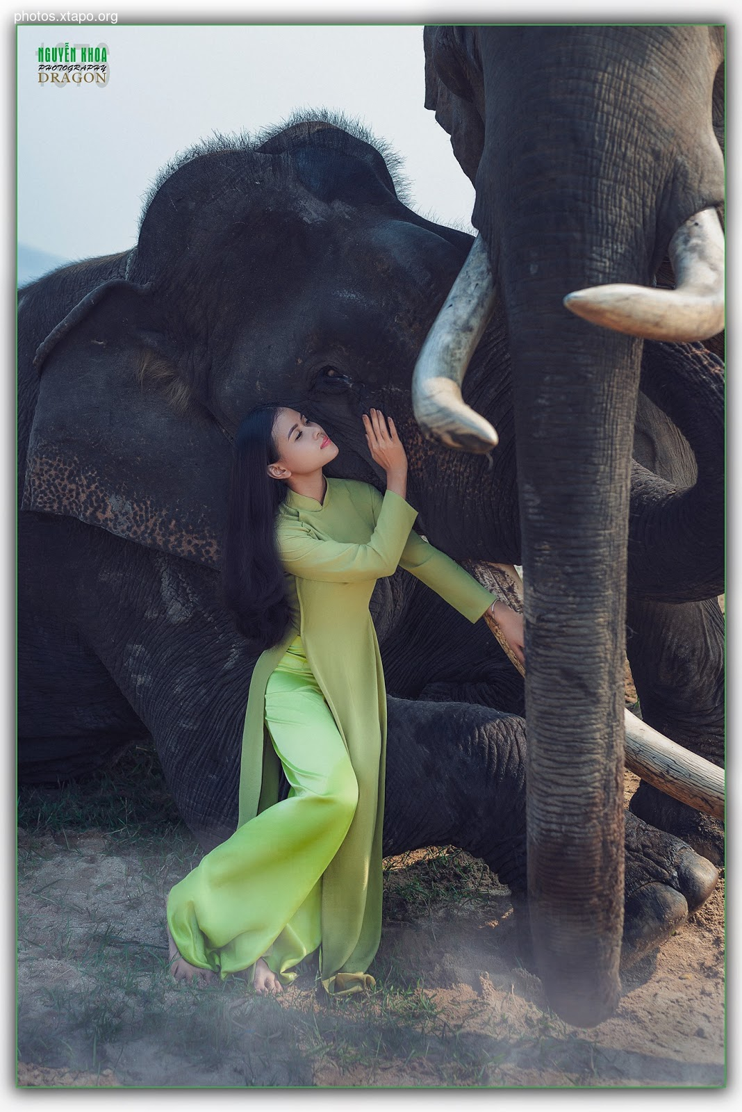 Thao Chi vs Kim Phung,