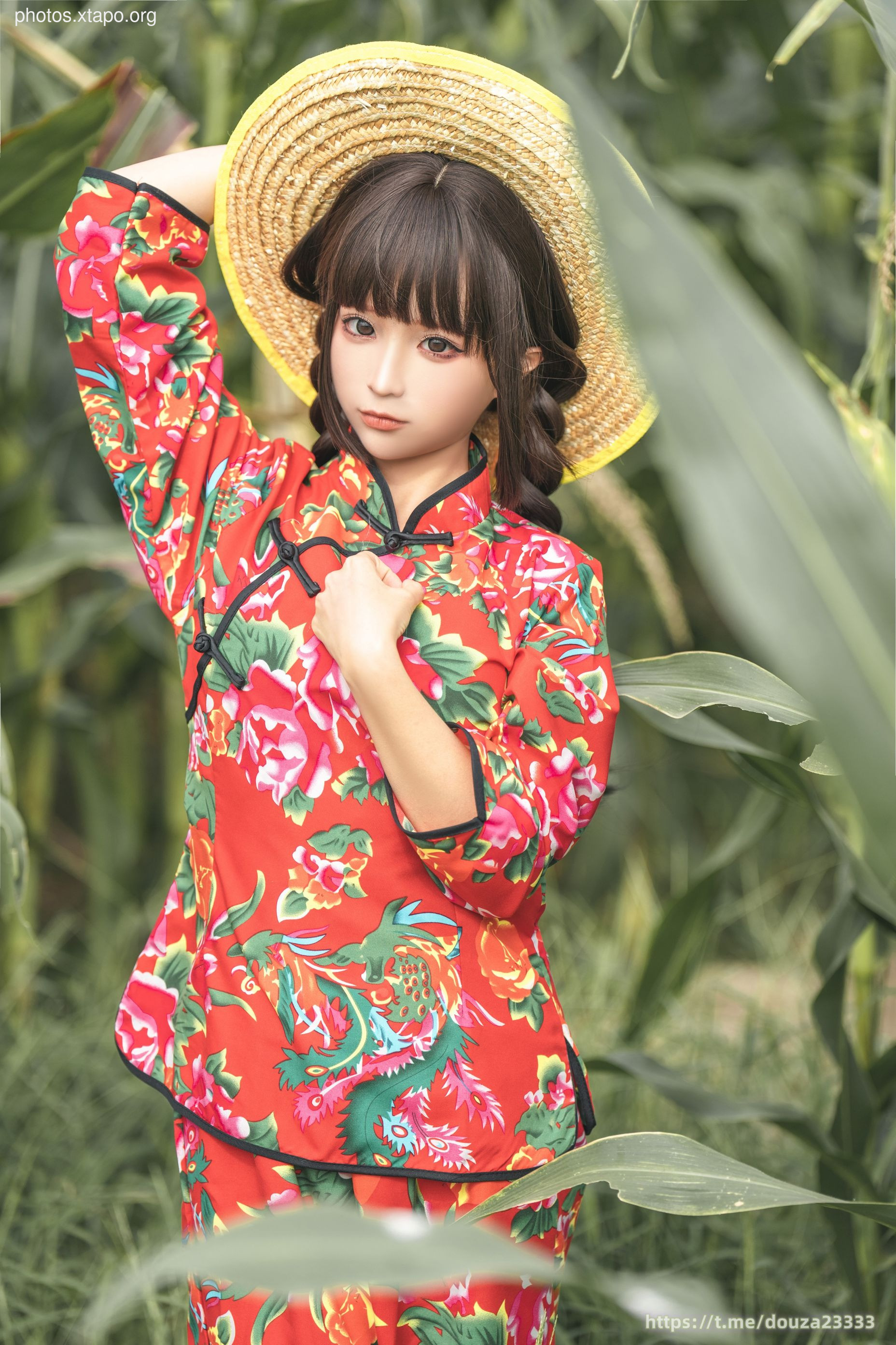 Story of Stupid Momo Rice Land (September 11th Member Resources)