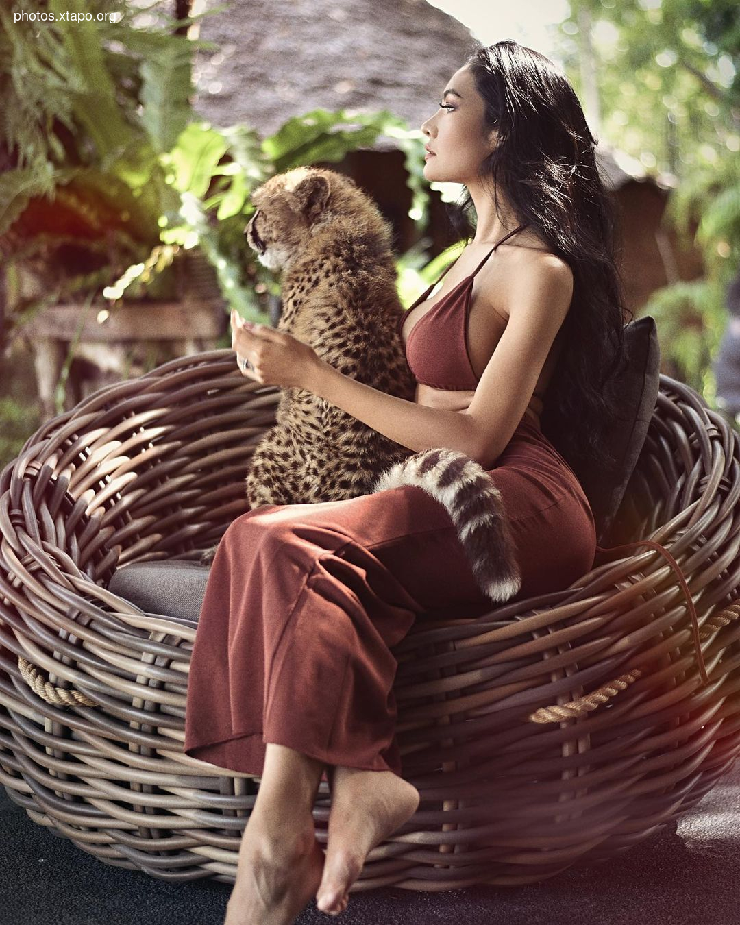 Mr Maxx W Tigerstam,