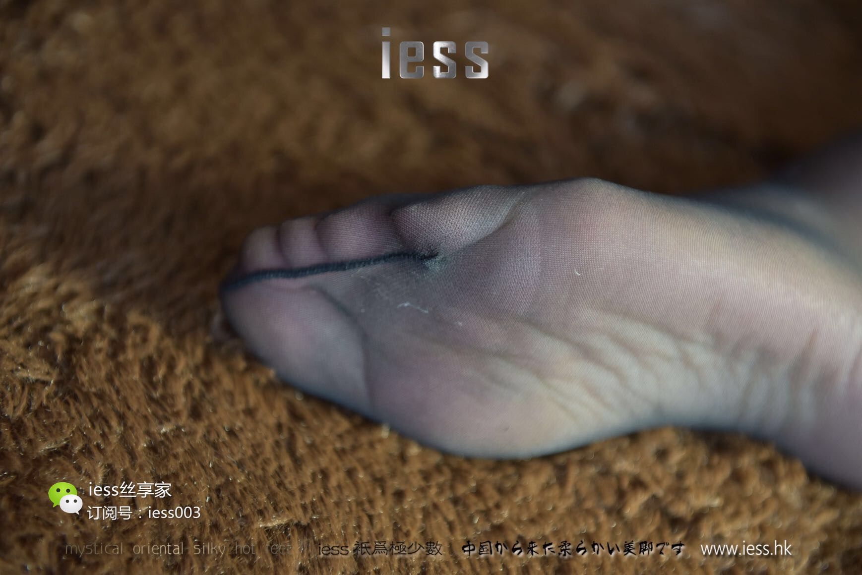 Si Xiangjia 015 Qiuqiu Black Light IESS is thinking about it