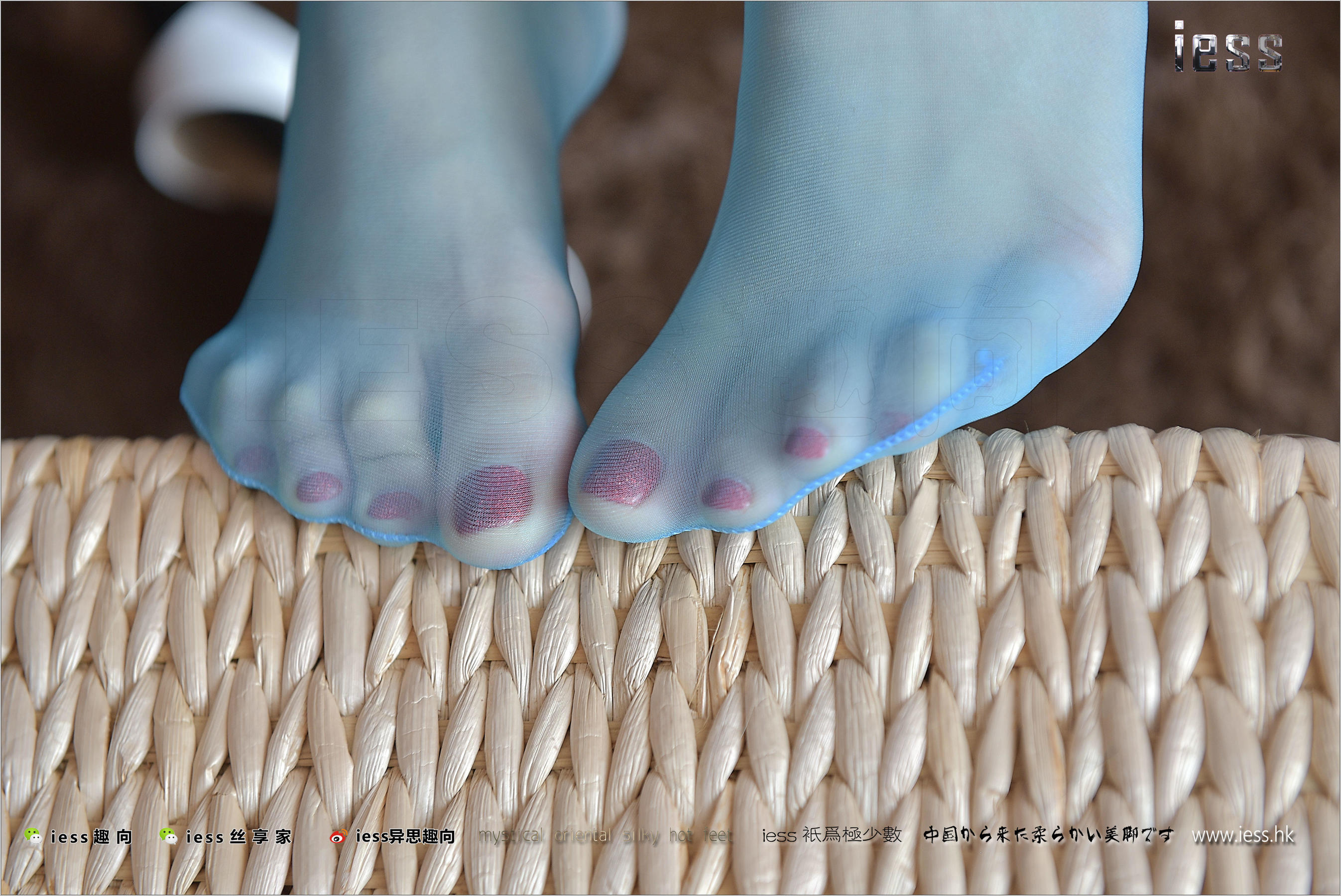 Silk Foot Bento 141 Shanshan Blue Taste IESS Thoughts and Fun