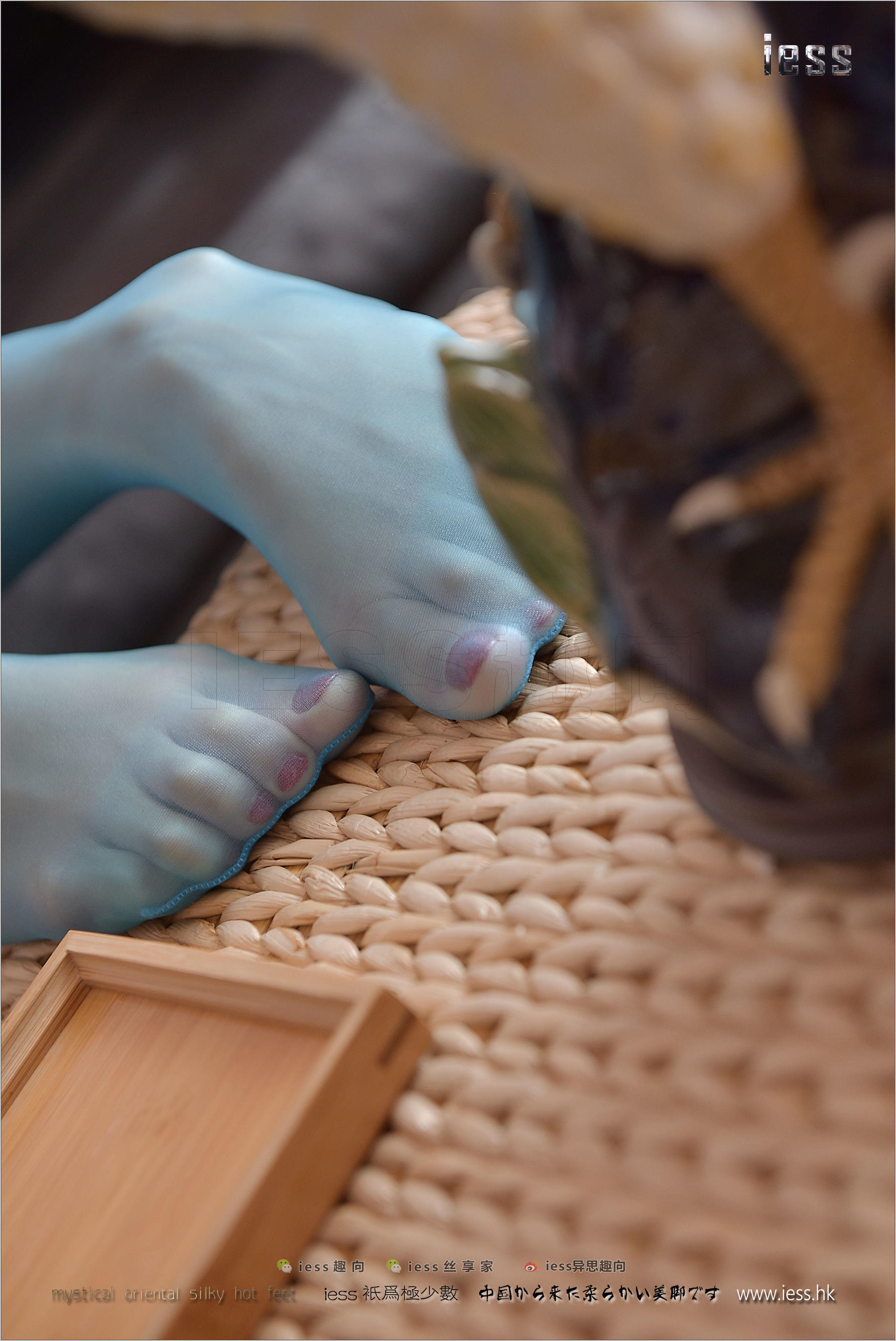 Silk Foot Bento 141 Shanshan Blue Taste IESS Thoughts and Fun