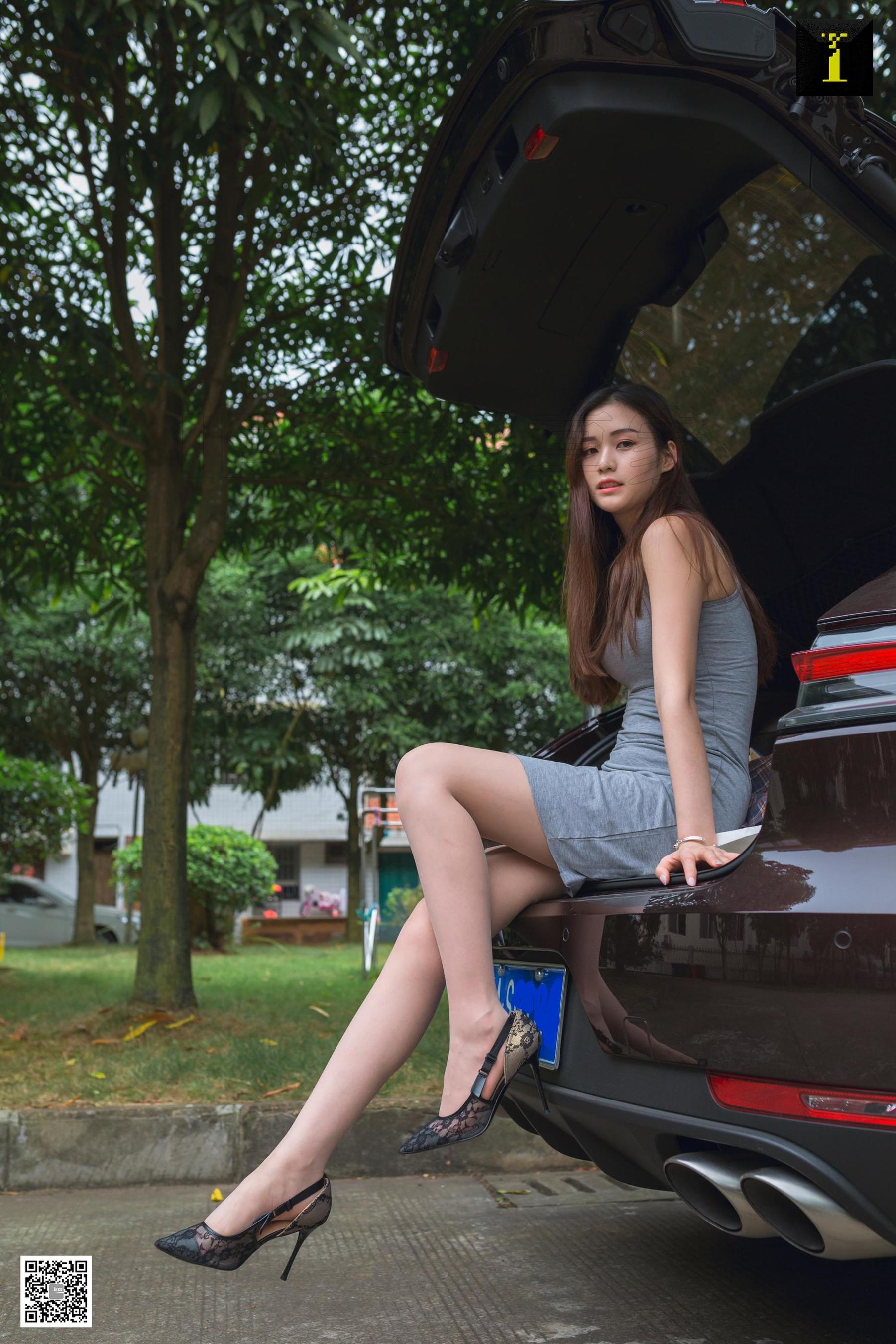 Different Thoughts to IESS Model: Jiu Mei's The Love of Jiumei's Car