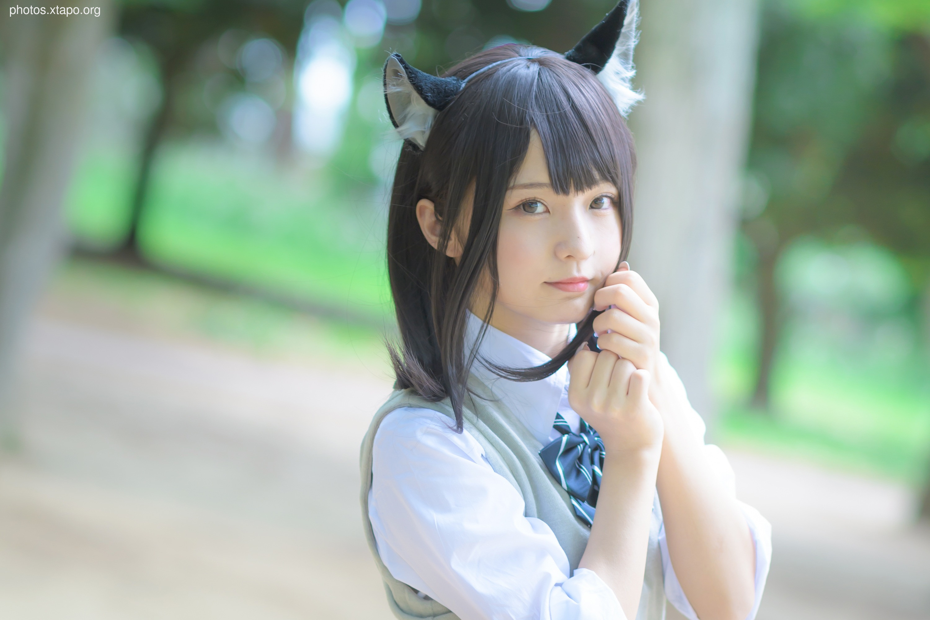 C96 Tofu Factory (Anni Tofu) mamefu Chaton